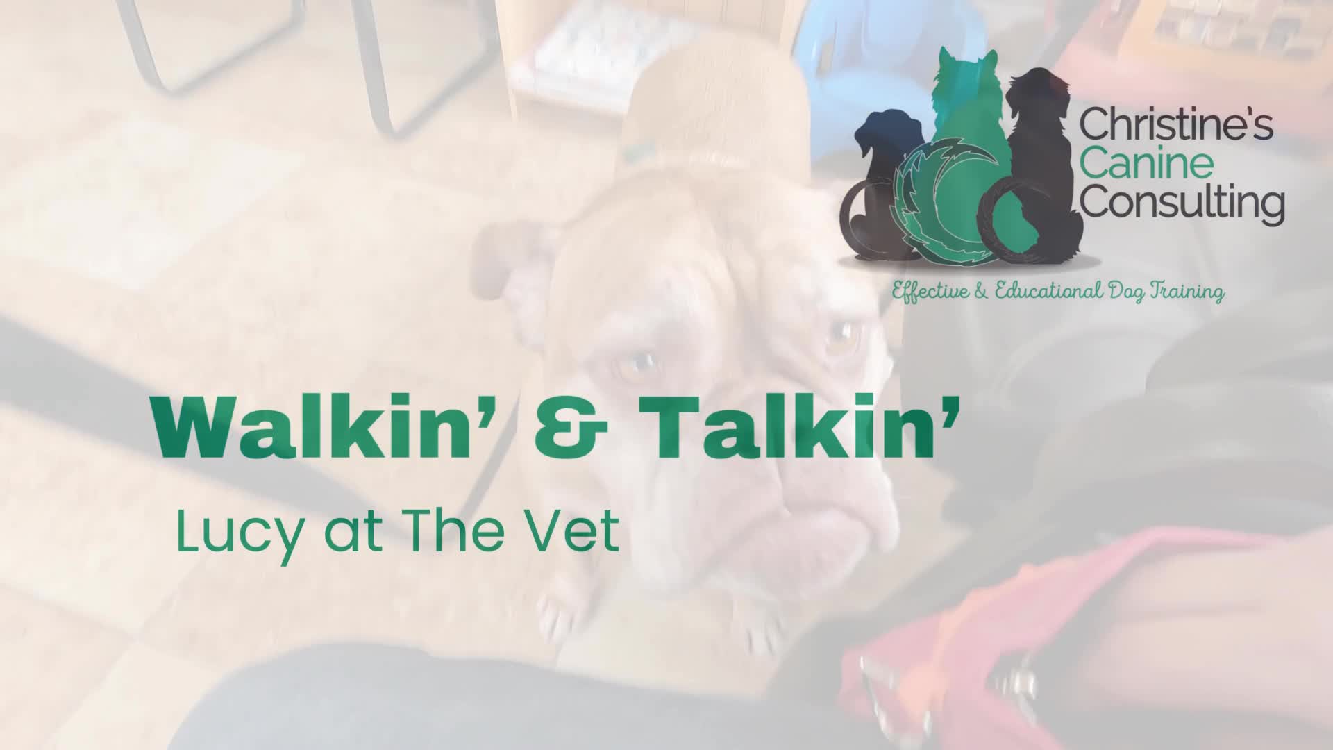 Related Video Item Thumbnail