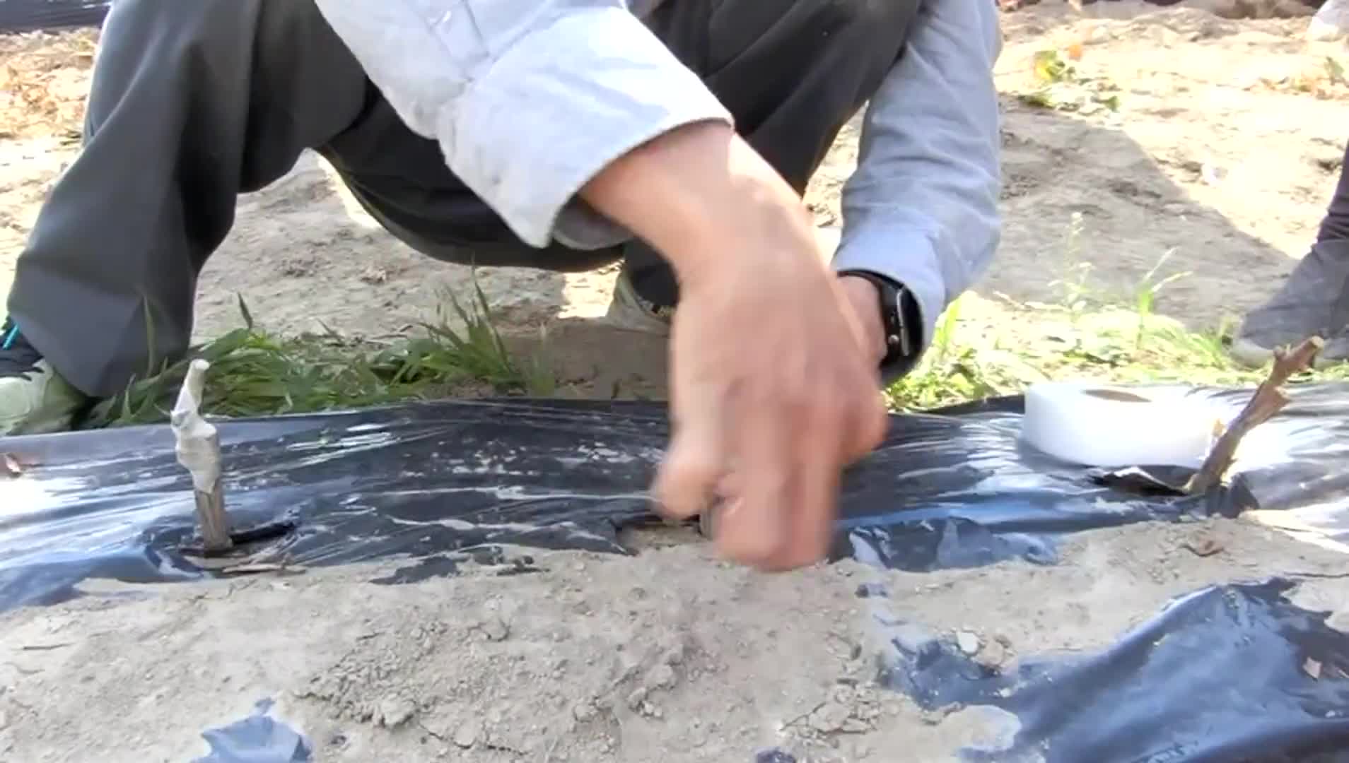Vignette de l'élément vidéo connexe