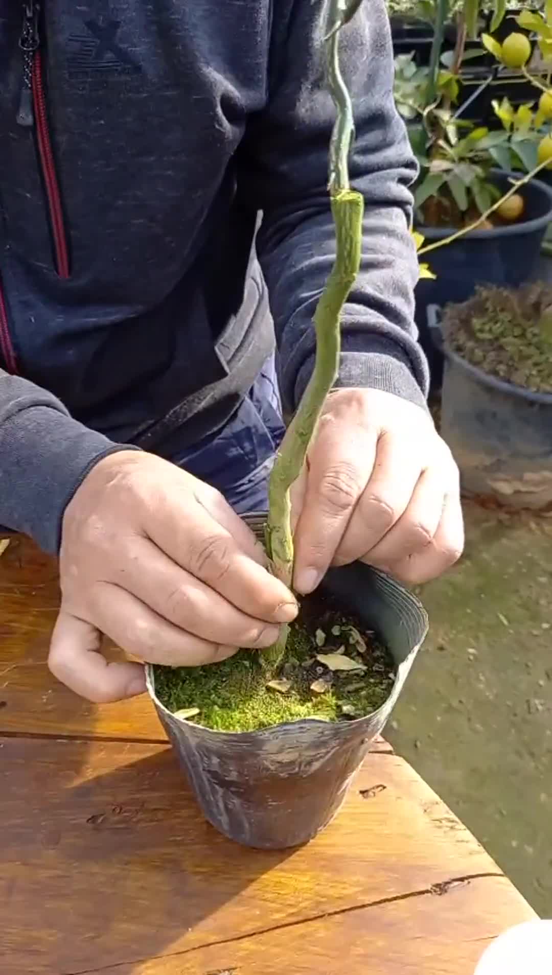 Vignette de l'élément vidéo connexe