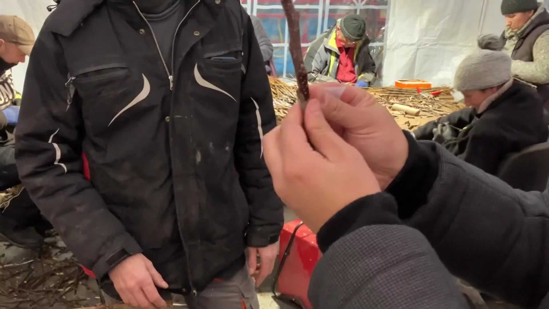Vignette de l'élément vidéo connexe