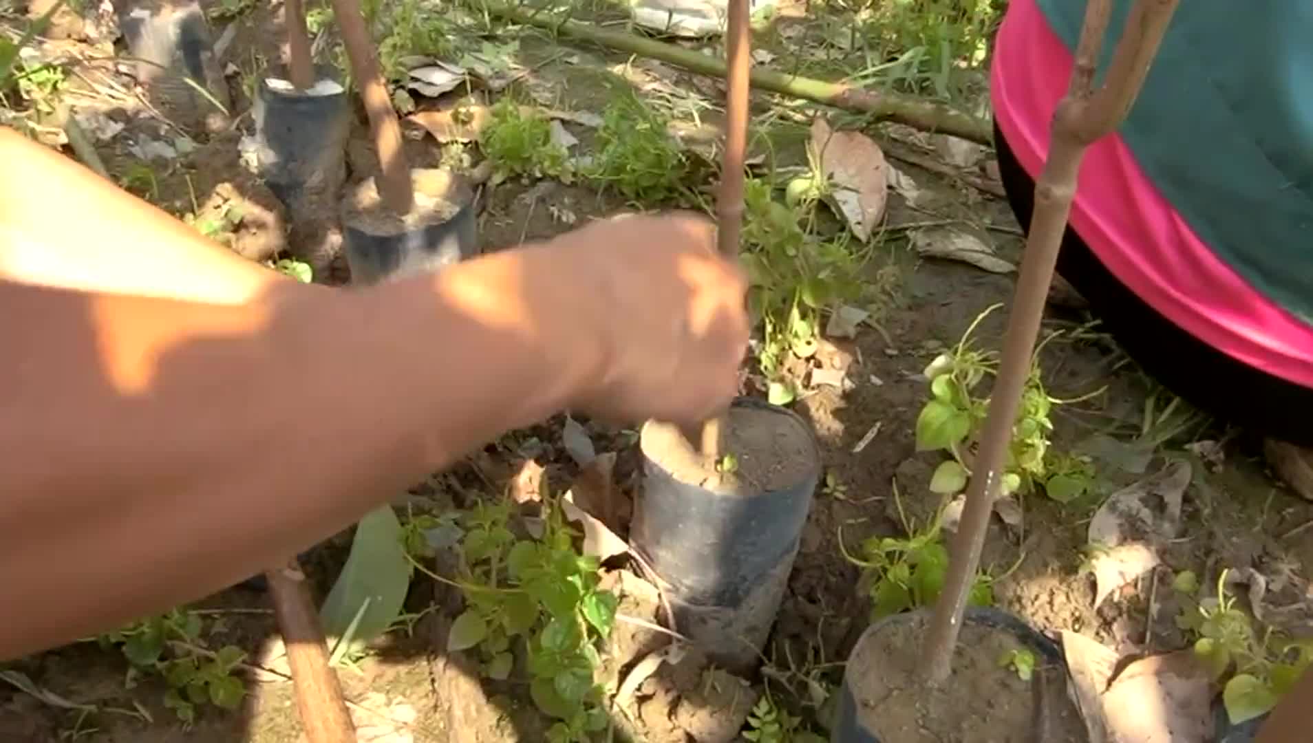 Vignette de l'élément vidéo connexe
