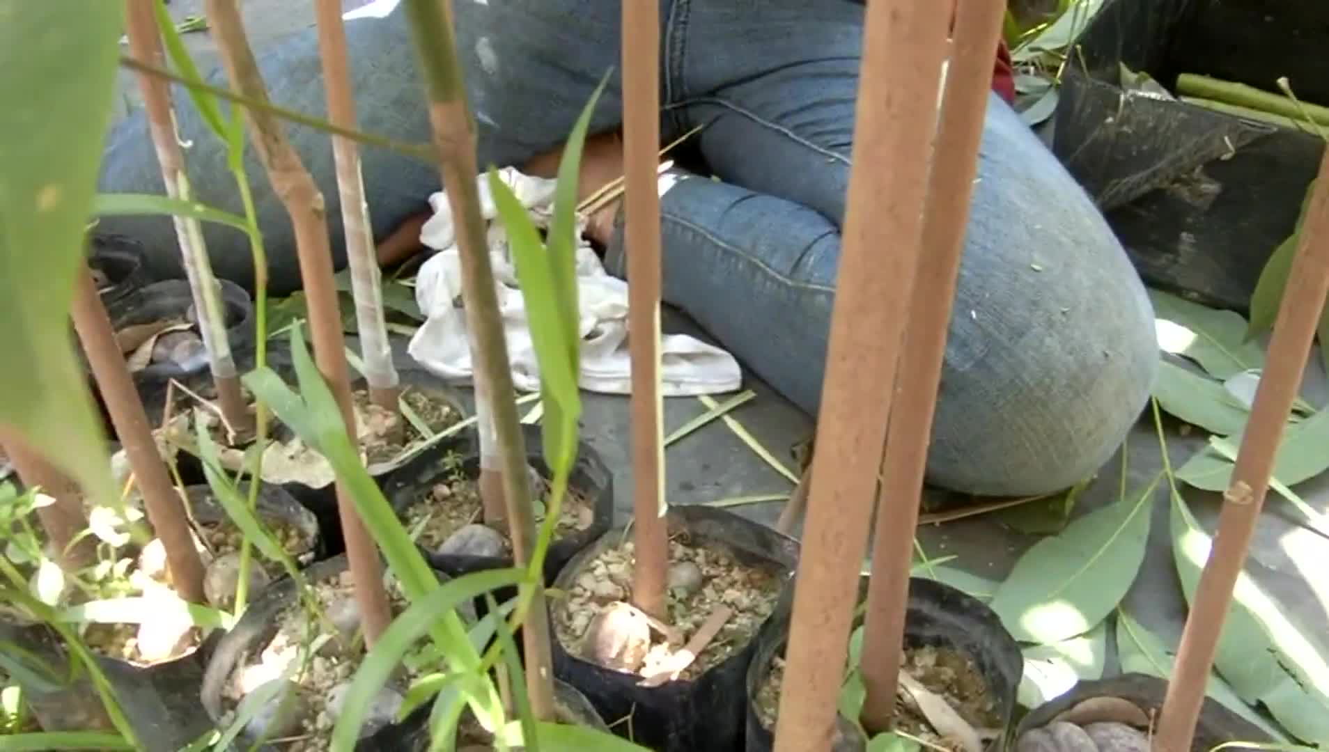 Vignette de l'élément vidéo connexe