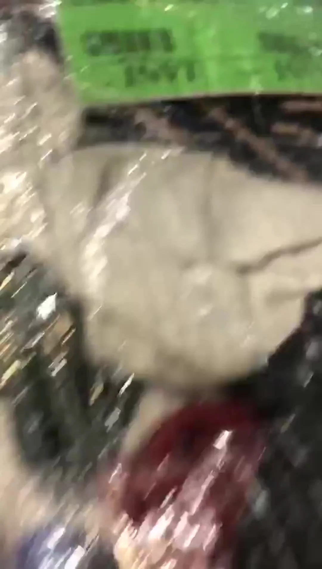 Related Video Item Thumbnail