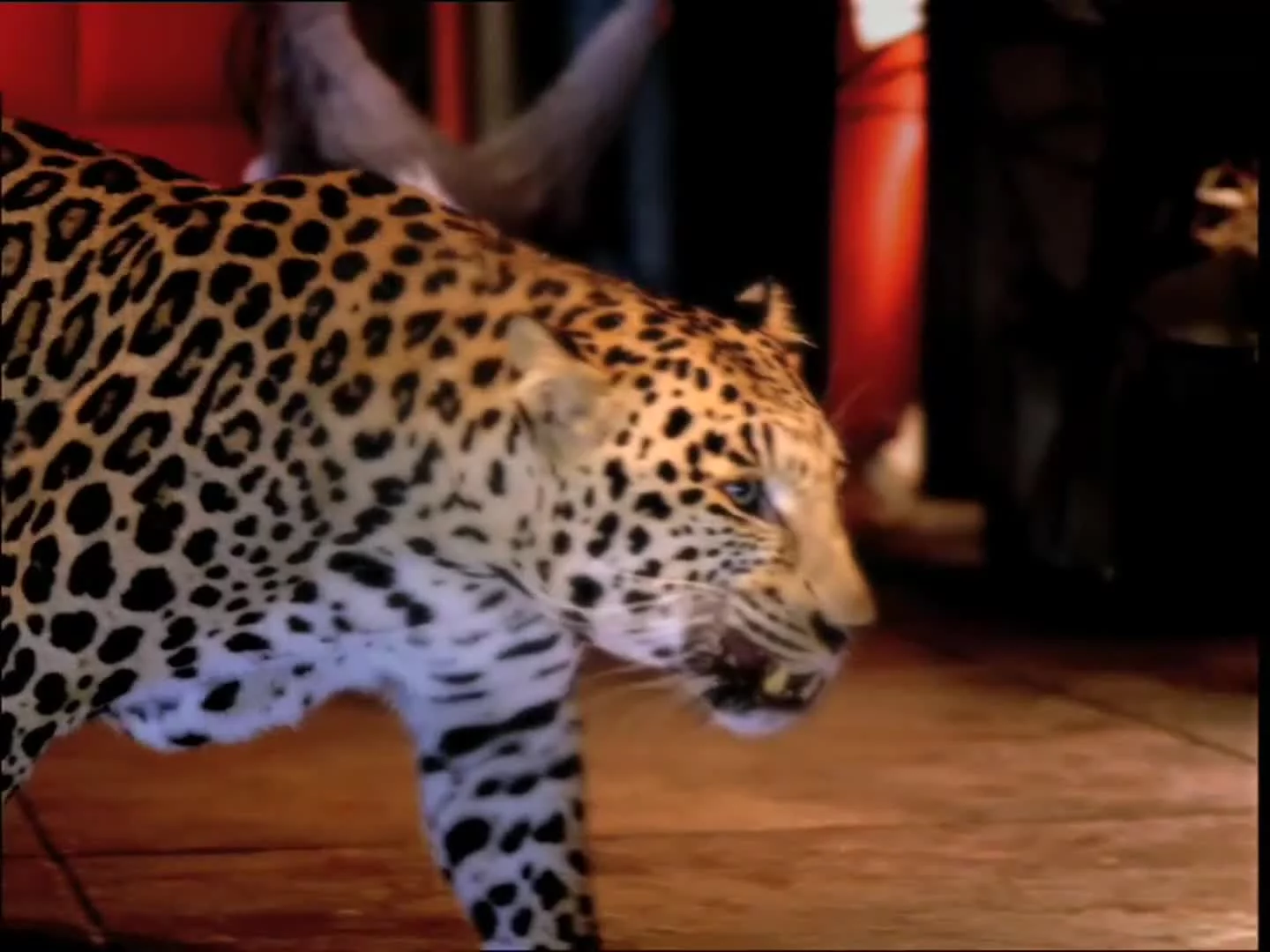 Related Video Item Thumbnail