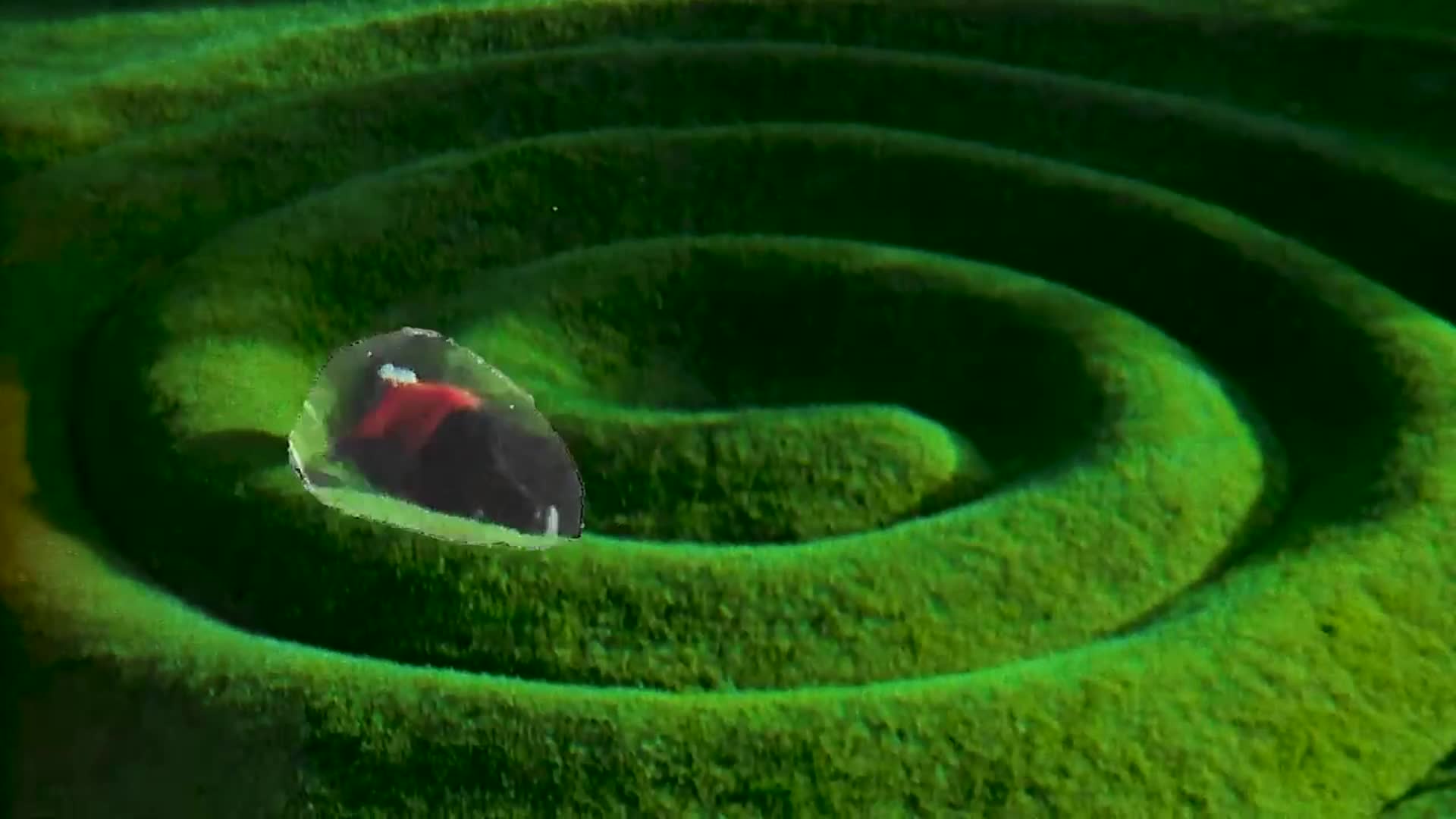 Related Video Item Thumbnail