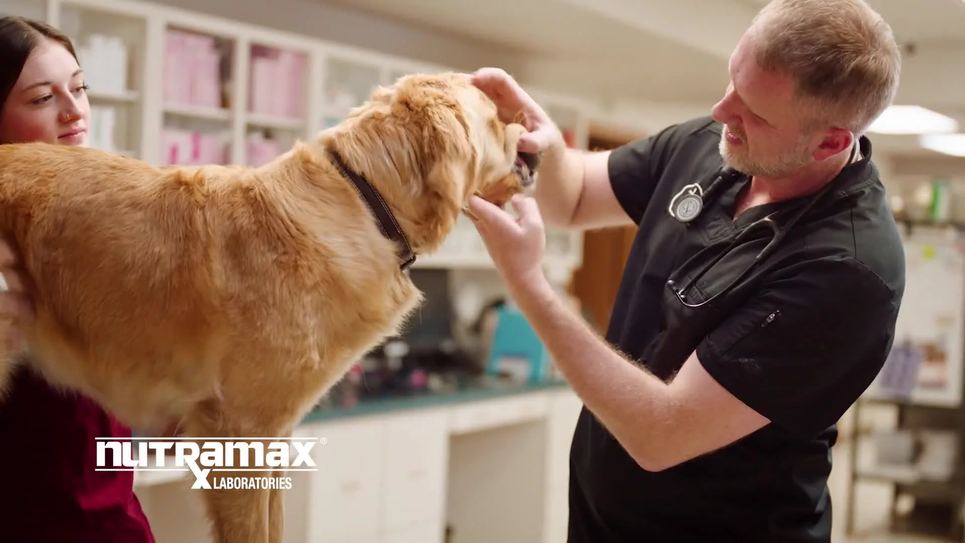 Related Video Item Thumbnail