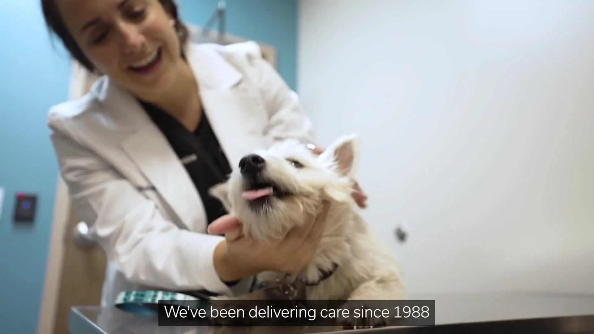 Related Video Item Thumbnail