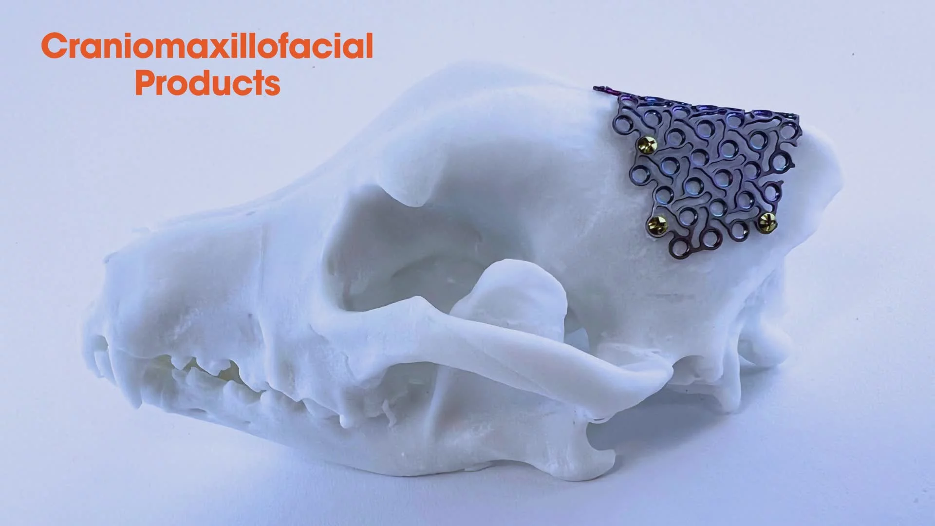 Related Video Item Thumbnail