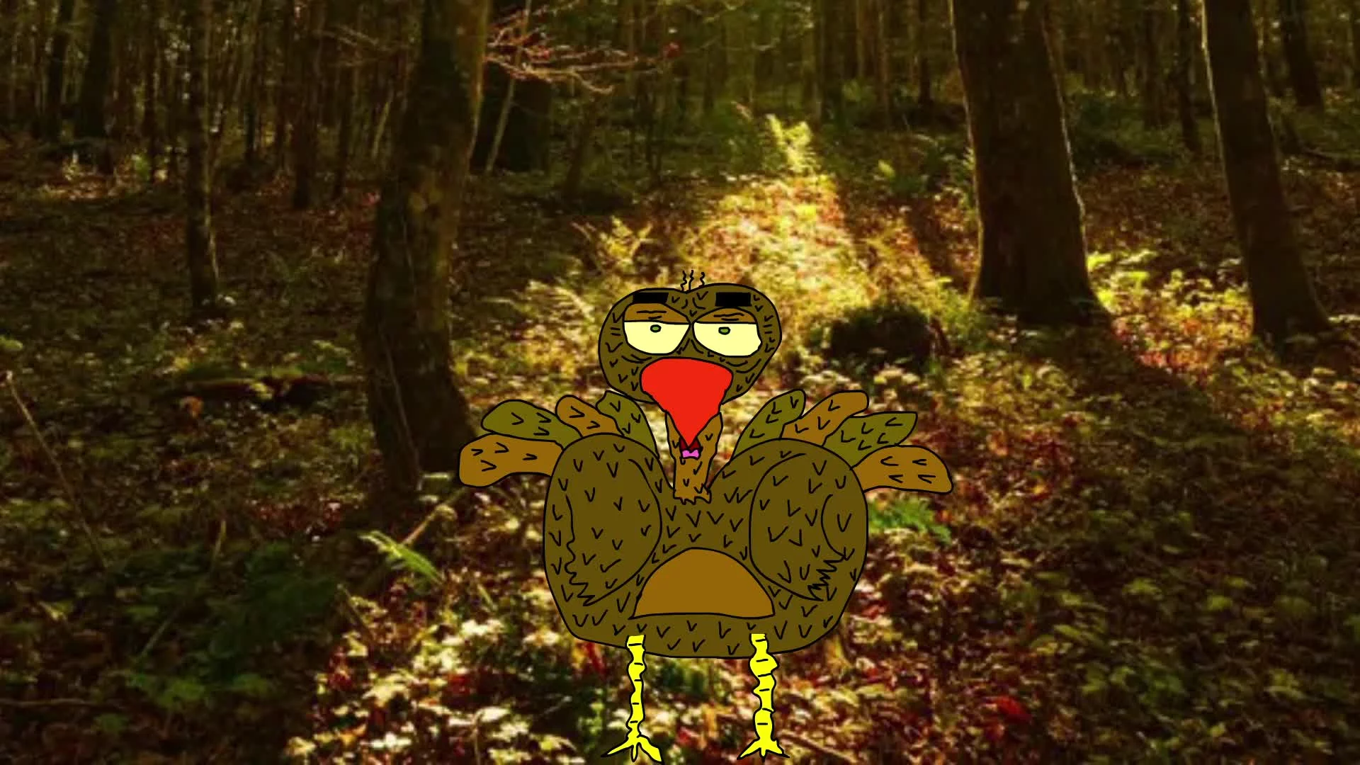 Related Video Item Thumbnail