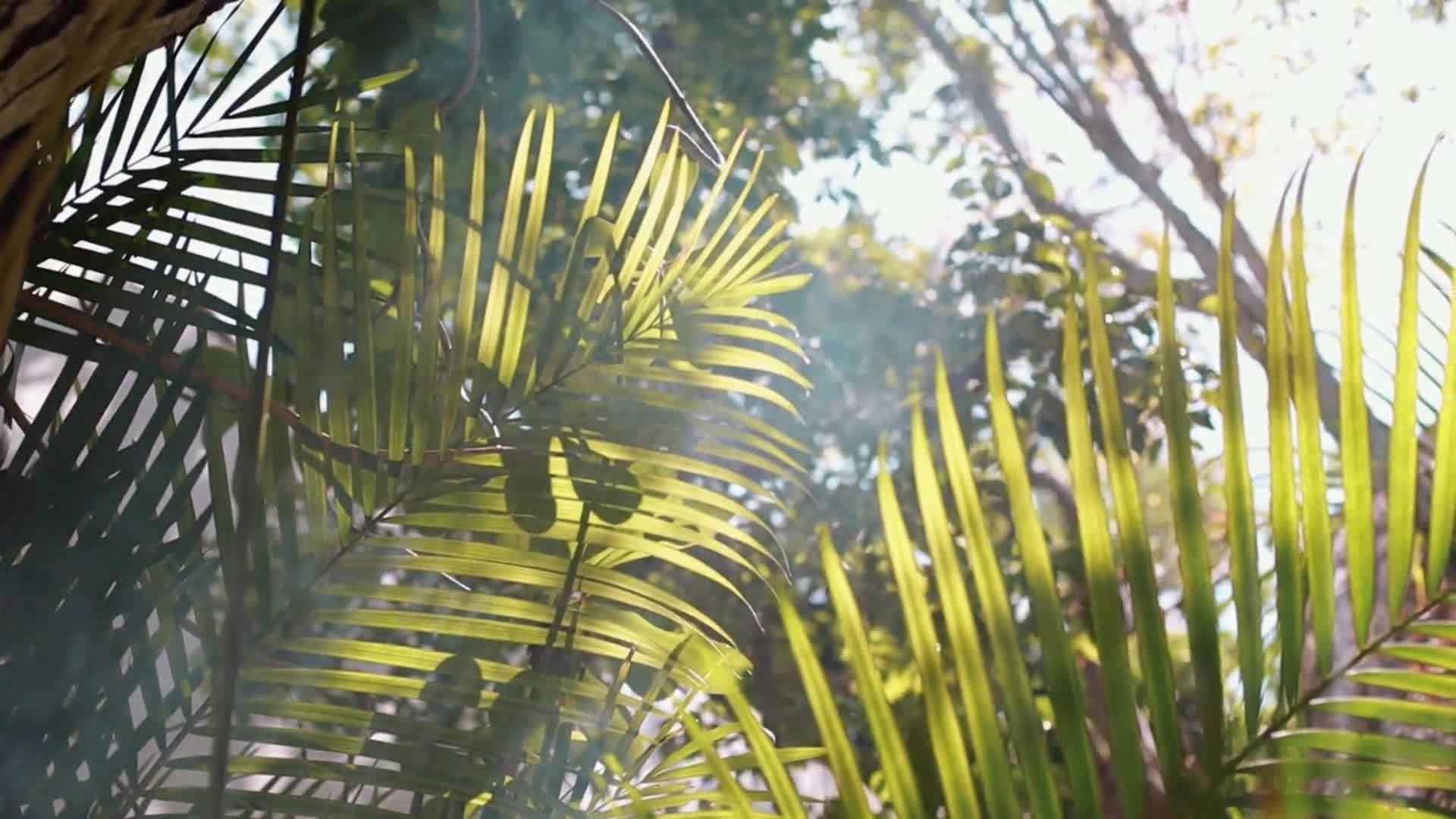 Related Video Item Thumbnail