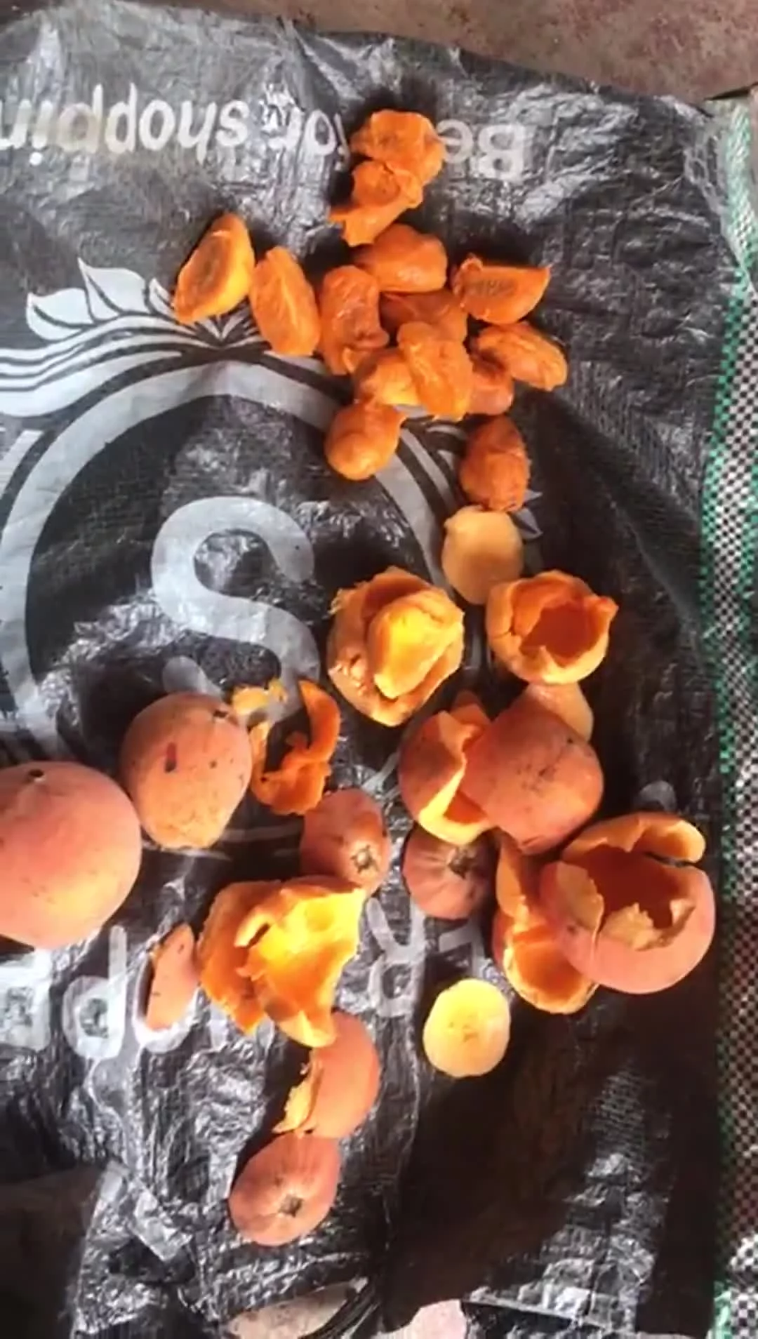 Related Video Item Thumbnail