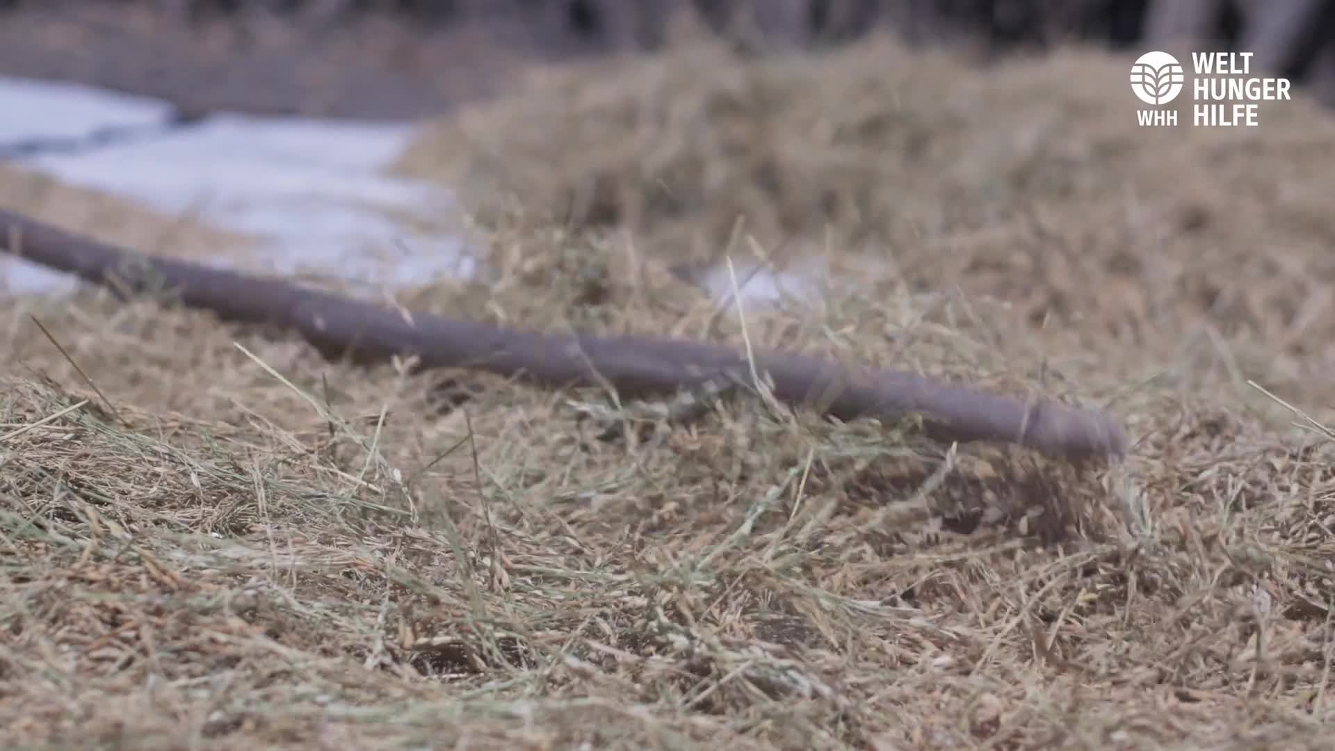 From Seeds to Market: A WFP video