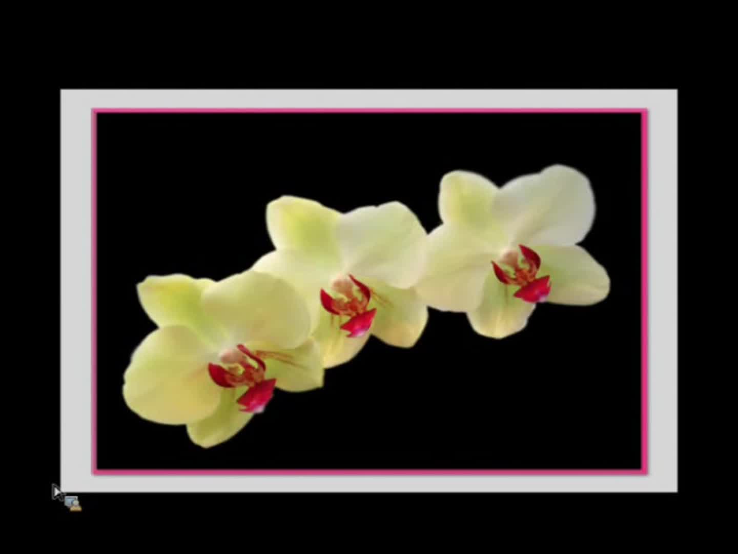 Vince Kokich Sr - 2011 - AAO Webinar - Ortho/Perio 2