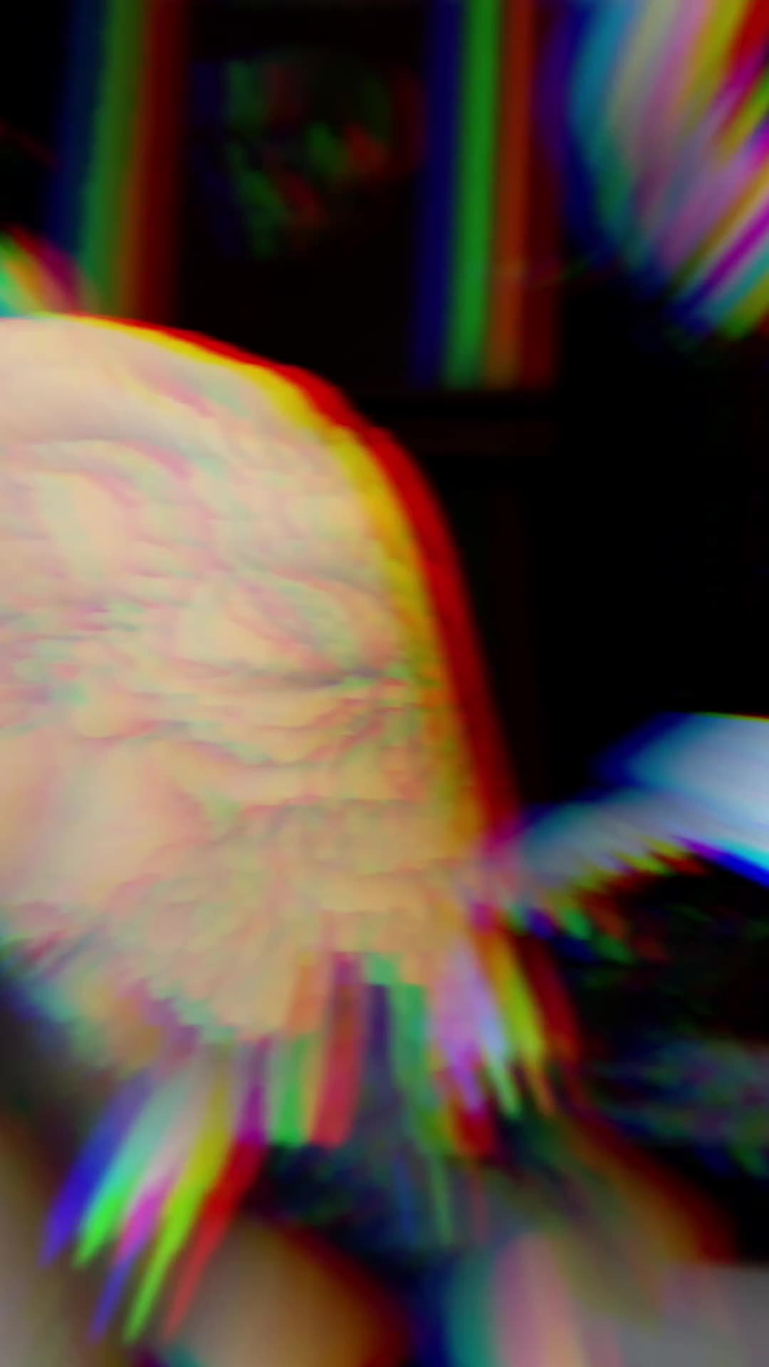 Related Video Item Thumbnail