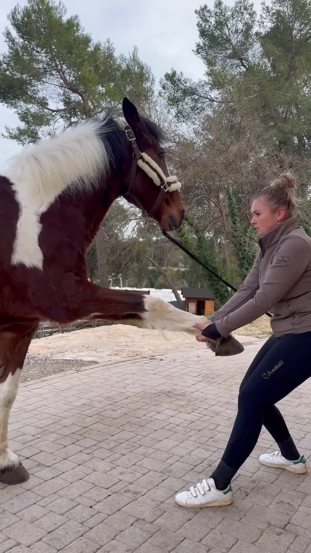 Related Video Item Thumbnail