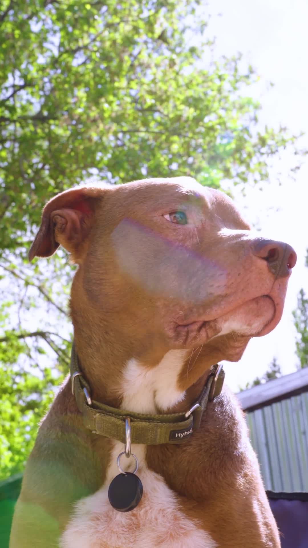 Related Video Item Thumbnail