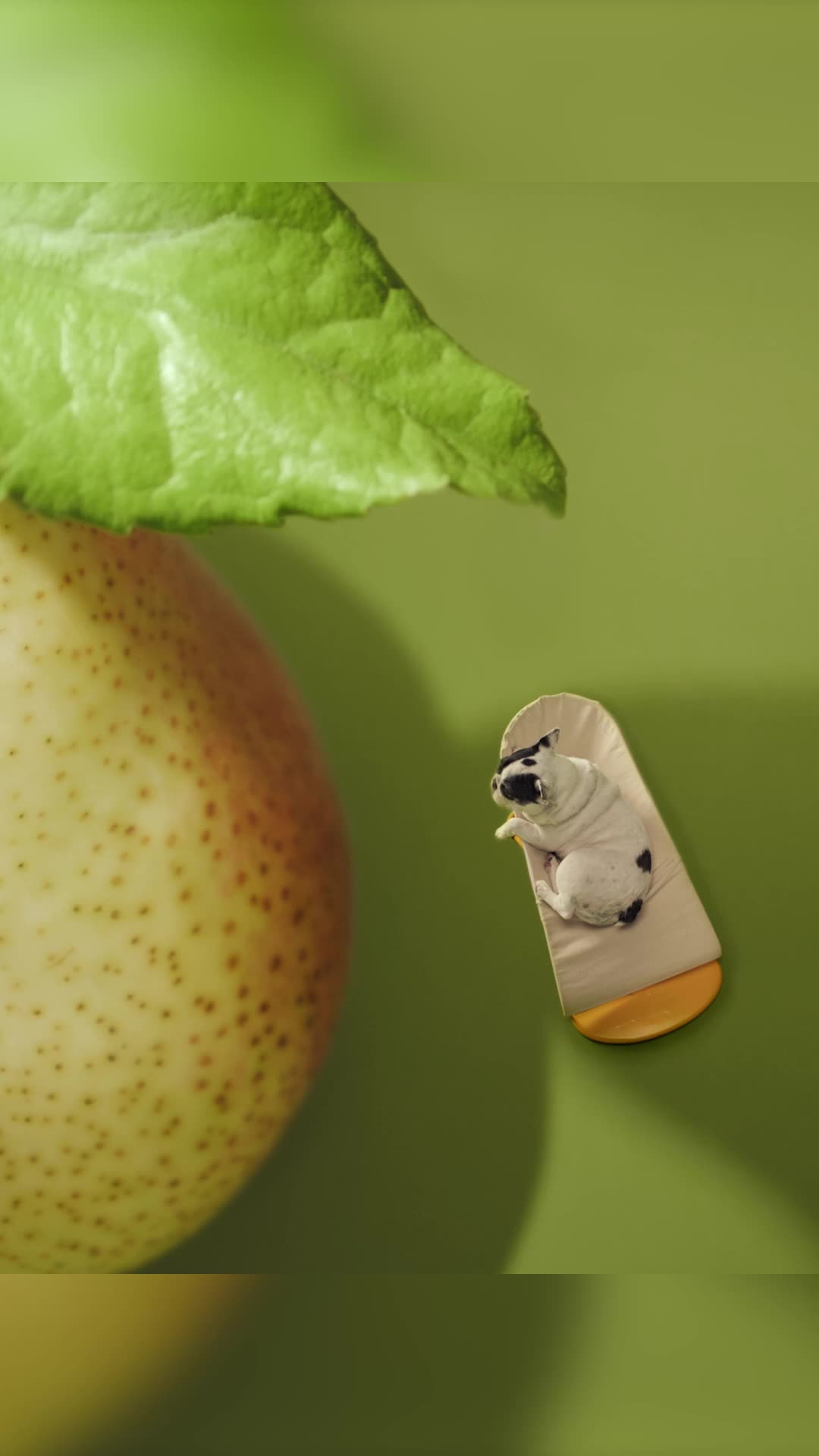 Related Video Item Thumbnail