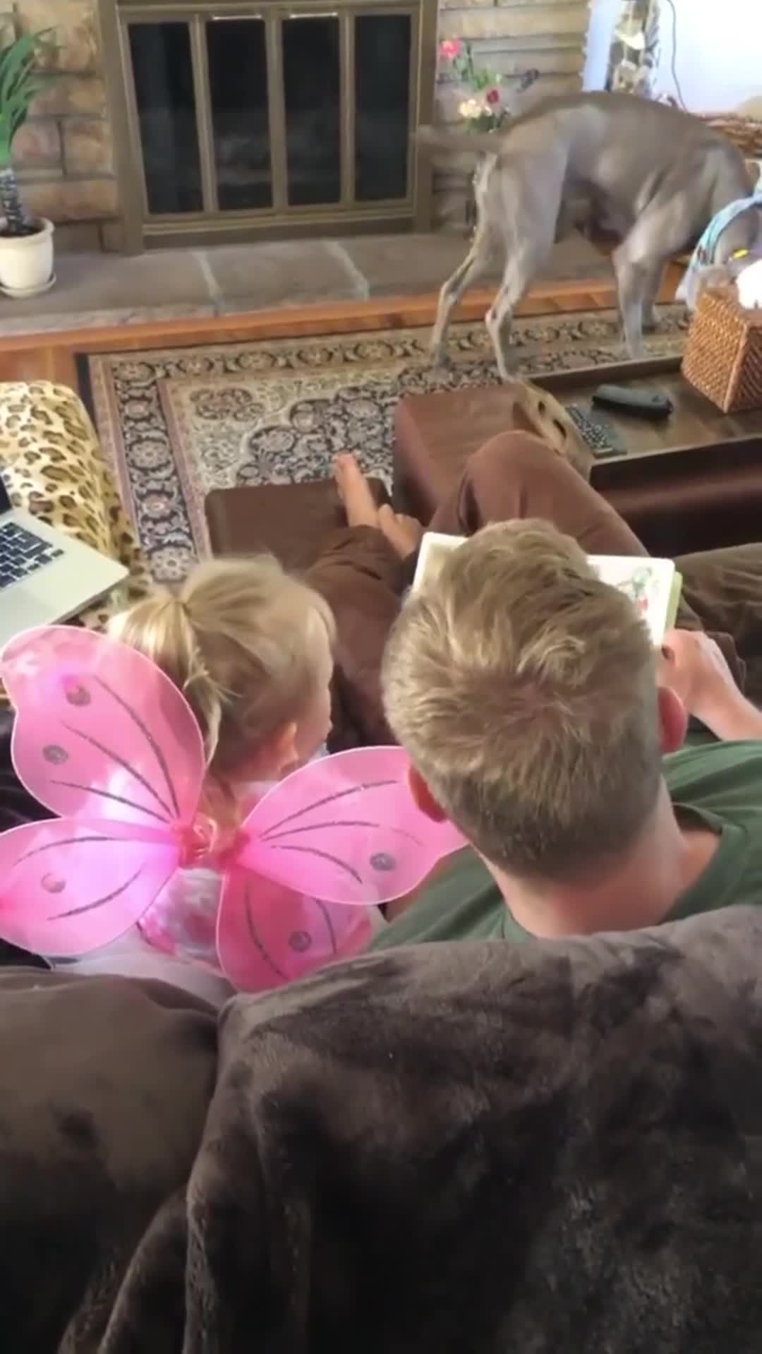 Related Video Item Thumbnail
