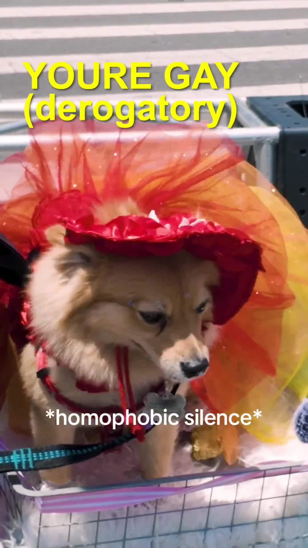 Related Video Item Thumbnail