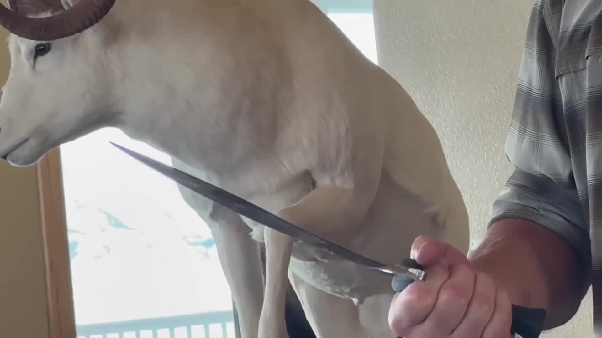 Related Video Item Thumbnail