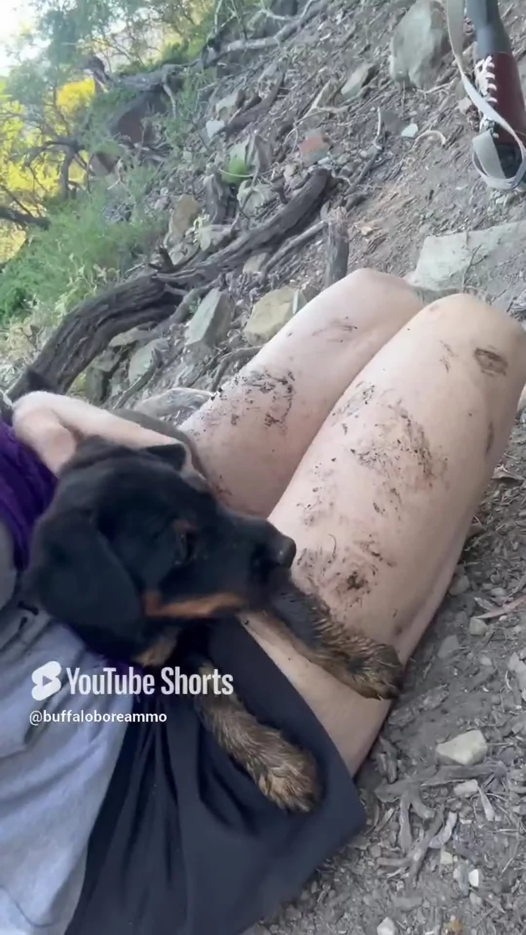 Related Video Item Thumbnail