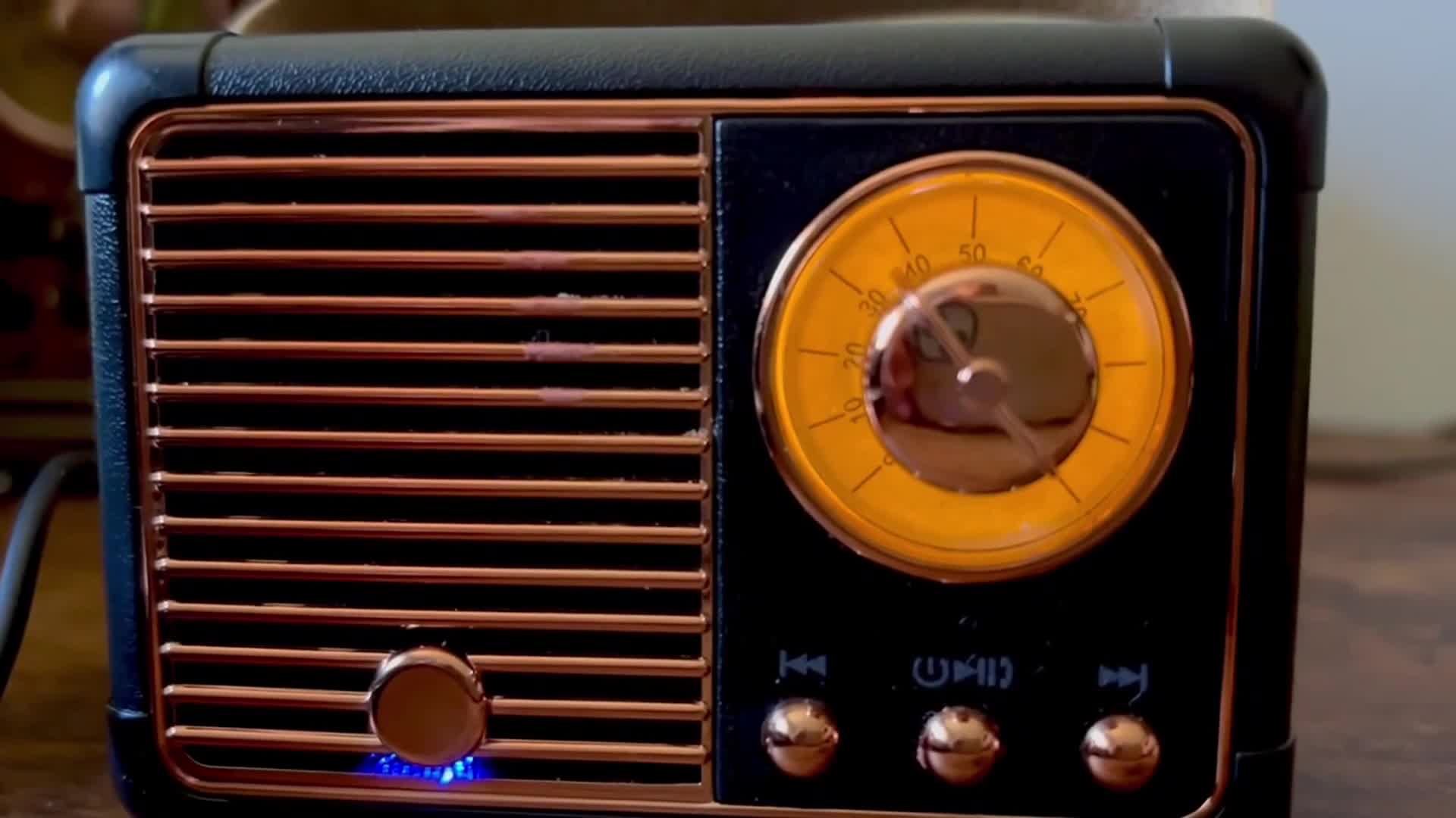 Related Video Item Thumbnail