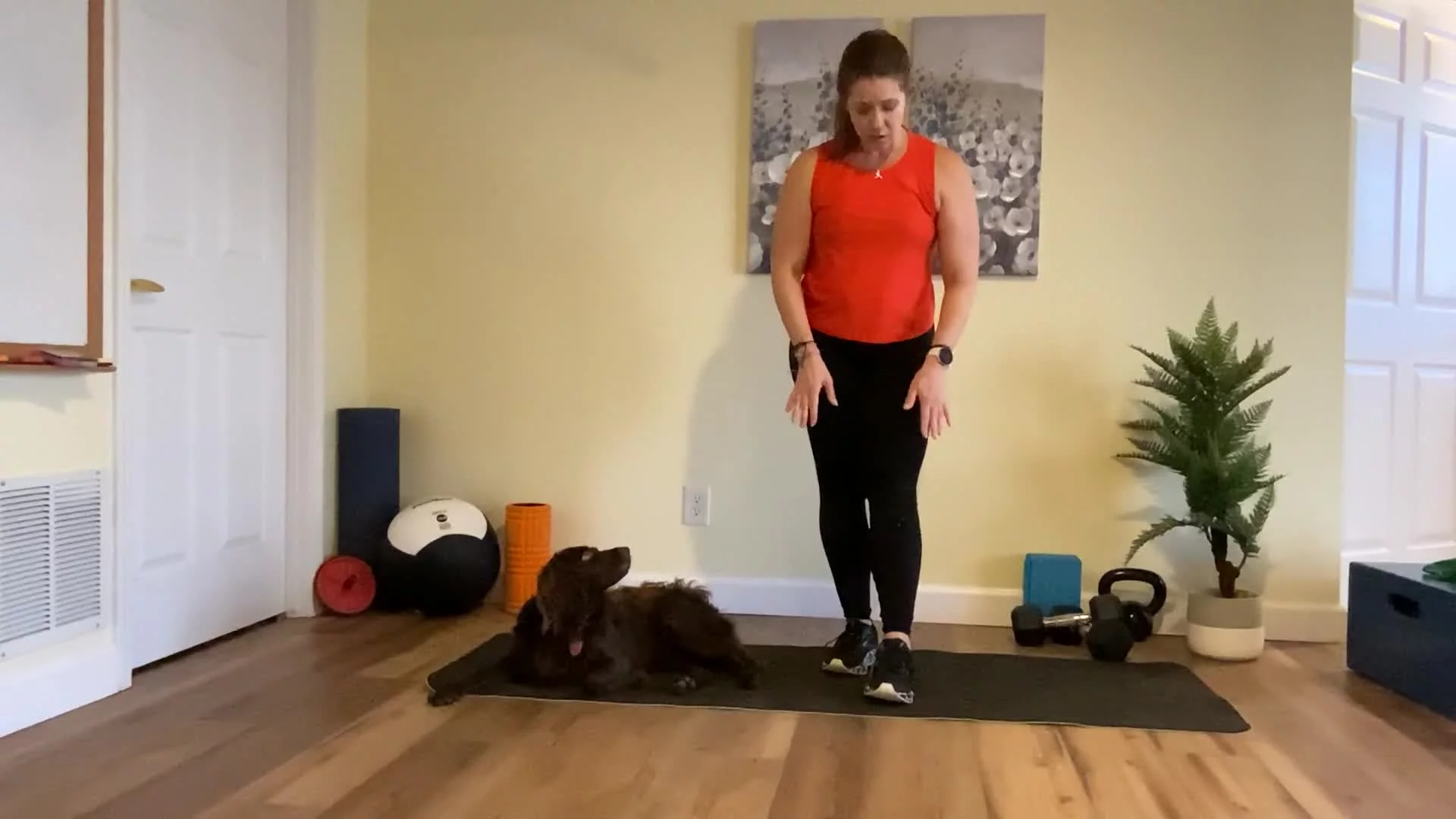 Related Video Item Thumbnail
