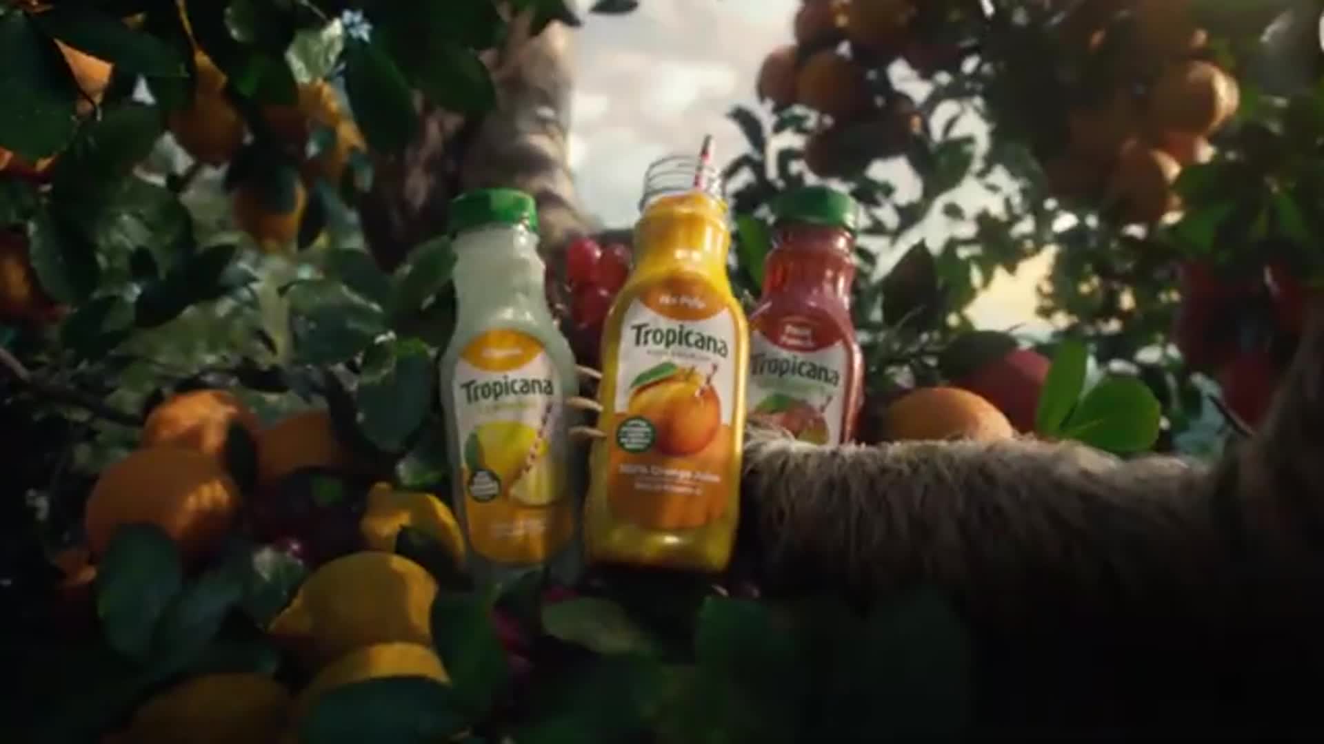 Tropicana