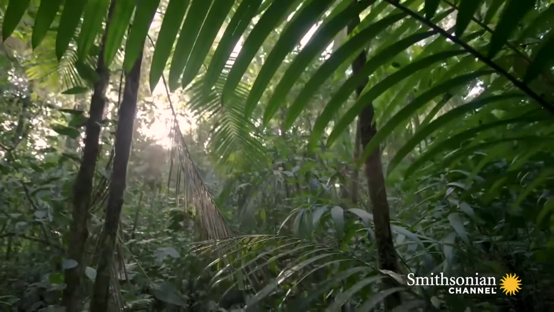 Related Video Item Thumbnail