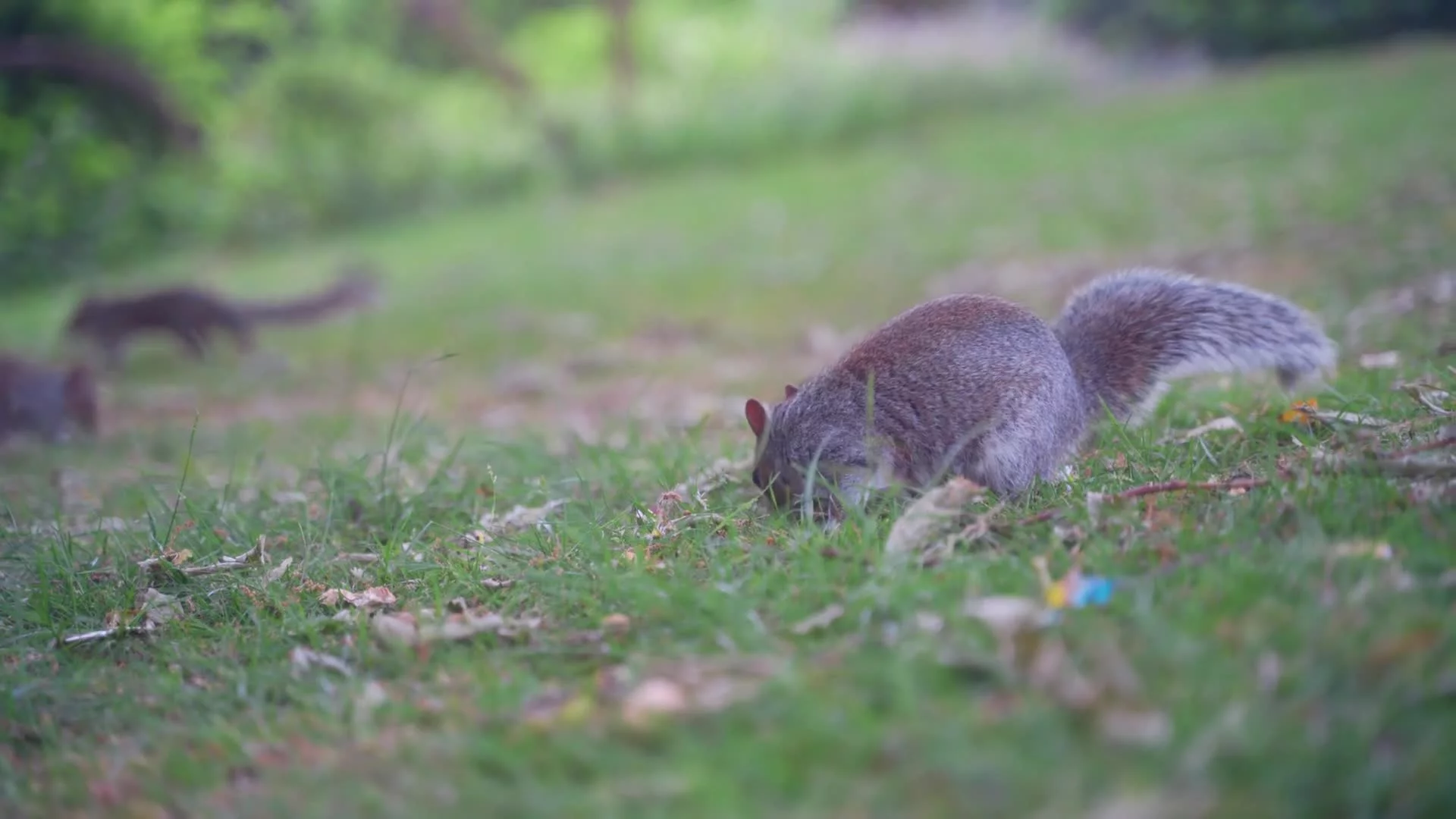 Related Video Item Thumbnail