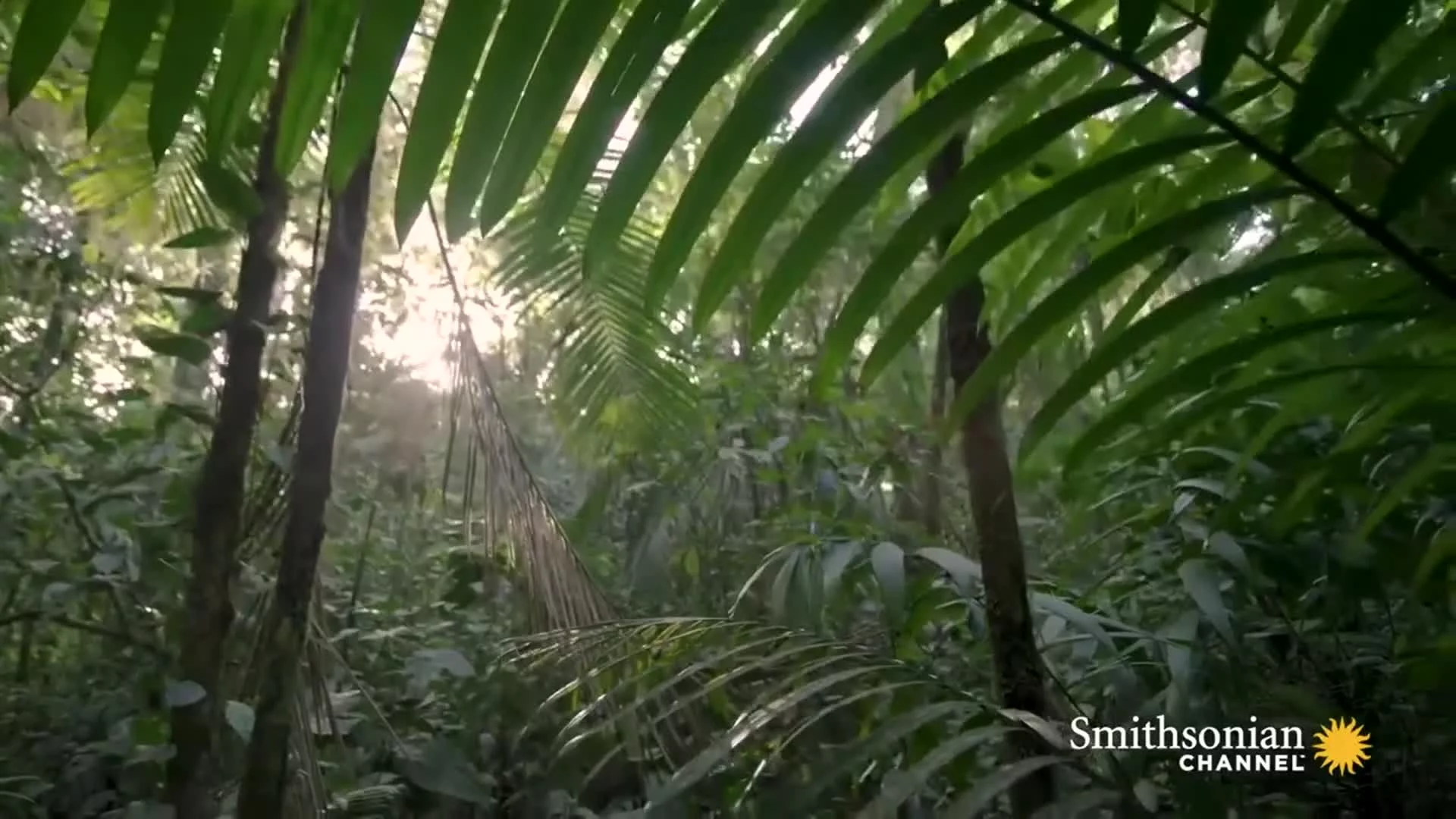 Related Video Item Thumbnail