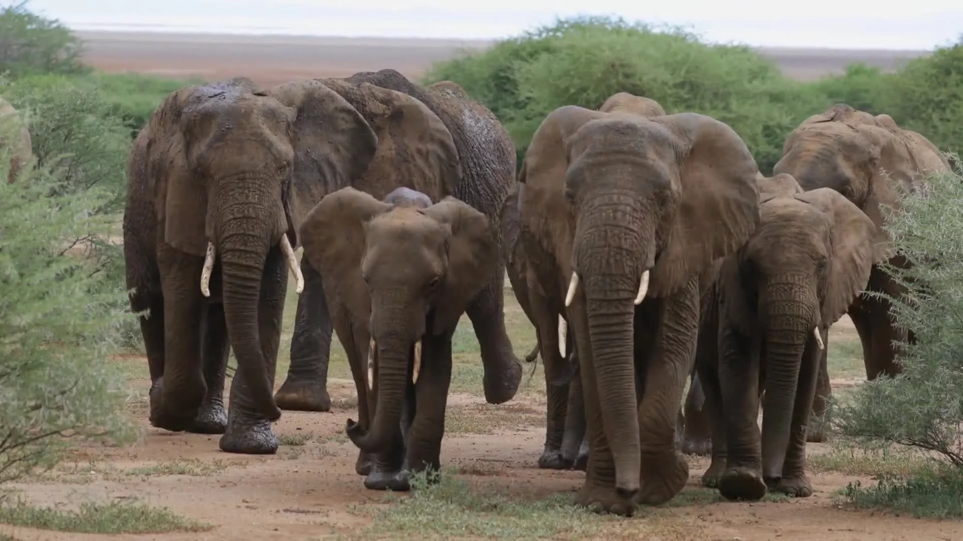 Related Video Item Thumbnail