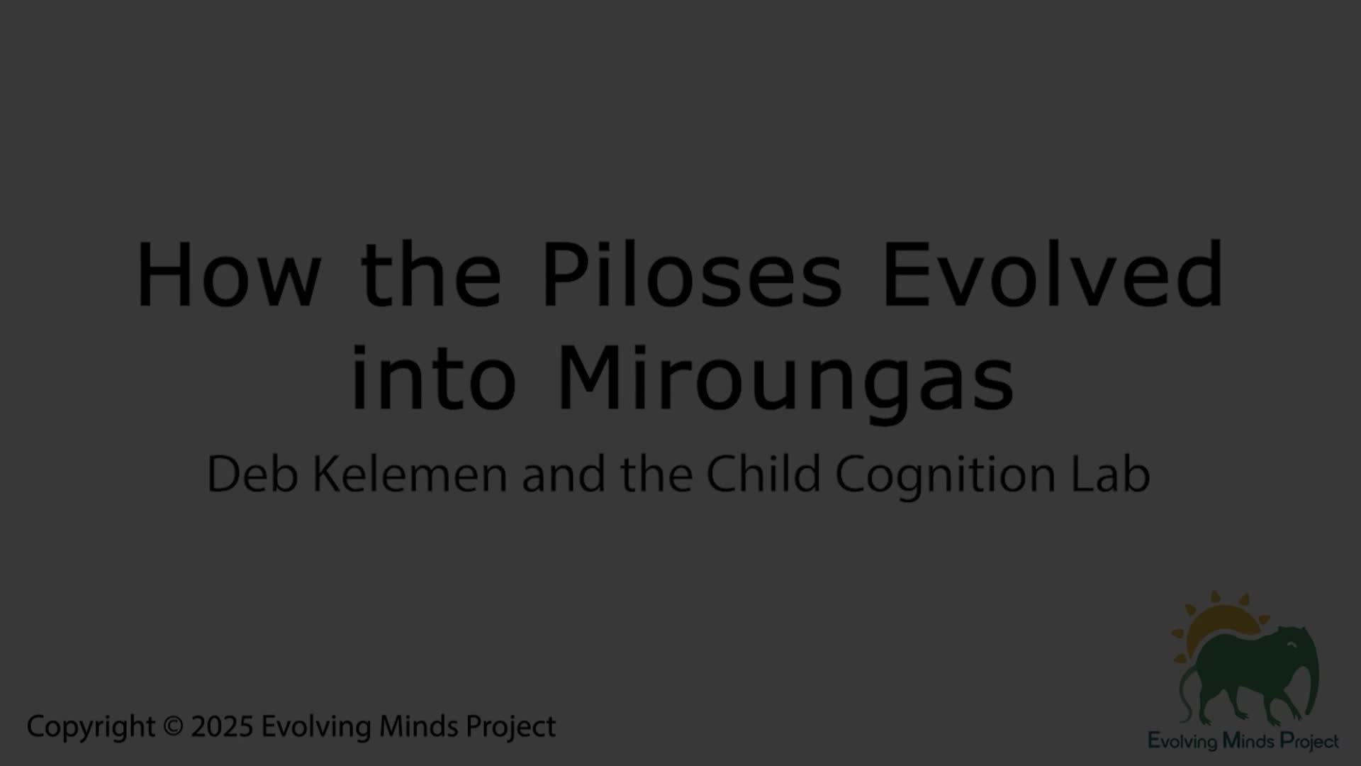 Related Video Item Thumbnail