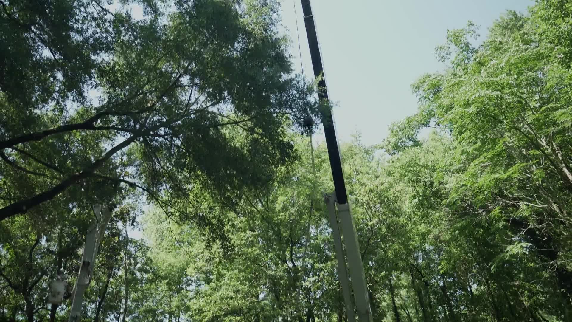 Related Video Item Thumbnail