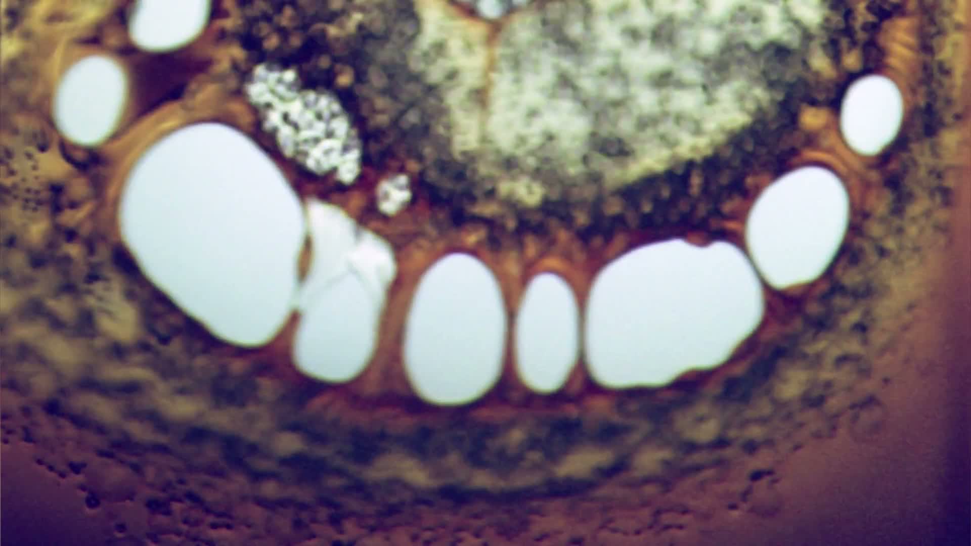 Related Video Item Thumbnail