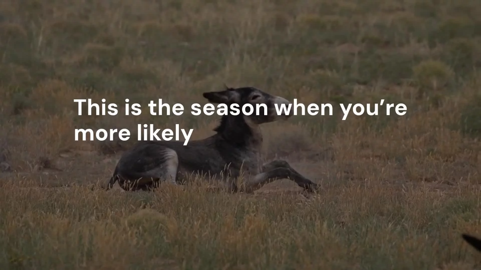Related Video Item Thumbnail