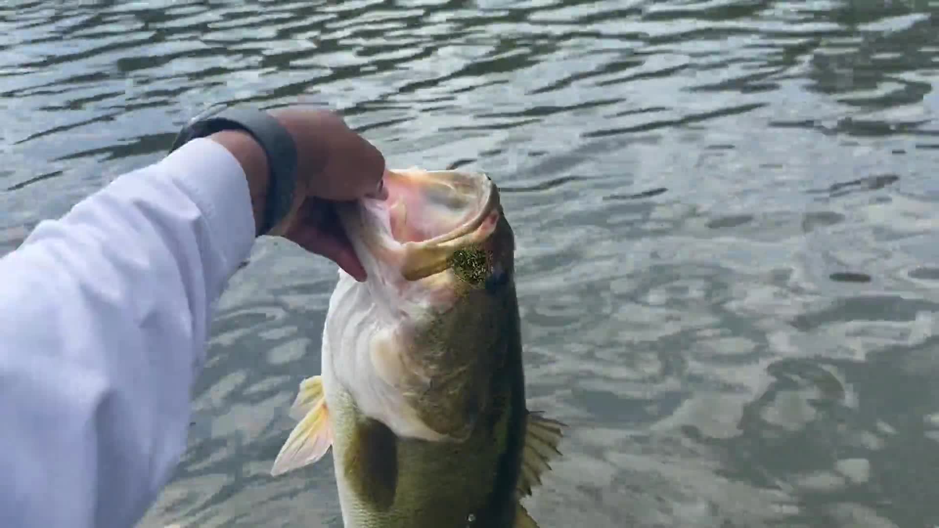 Related Video Item Thumbnail