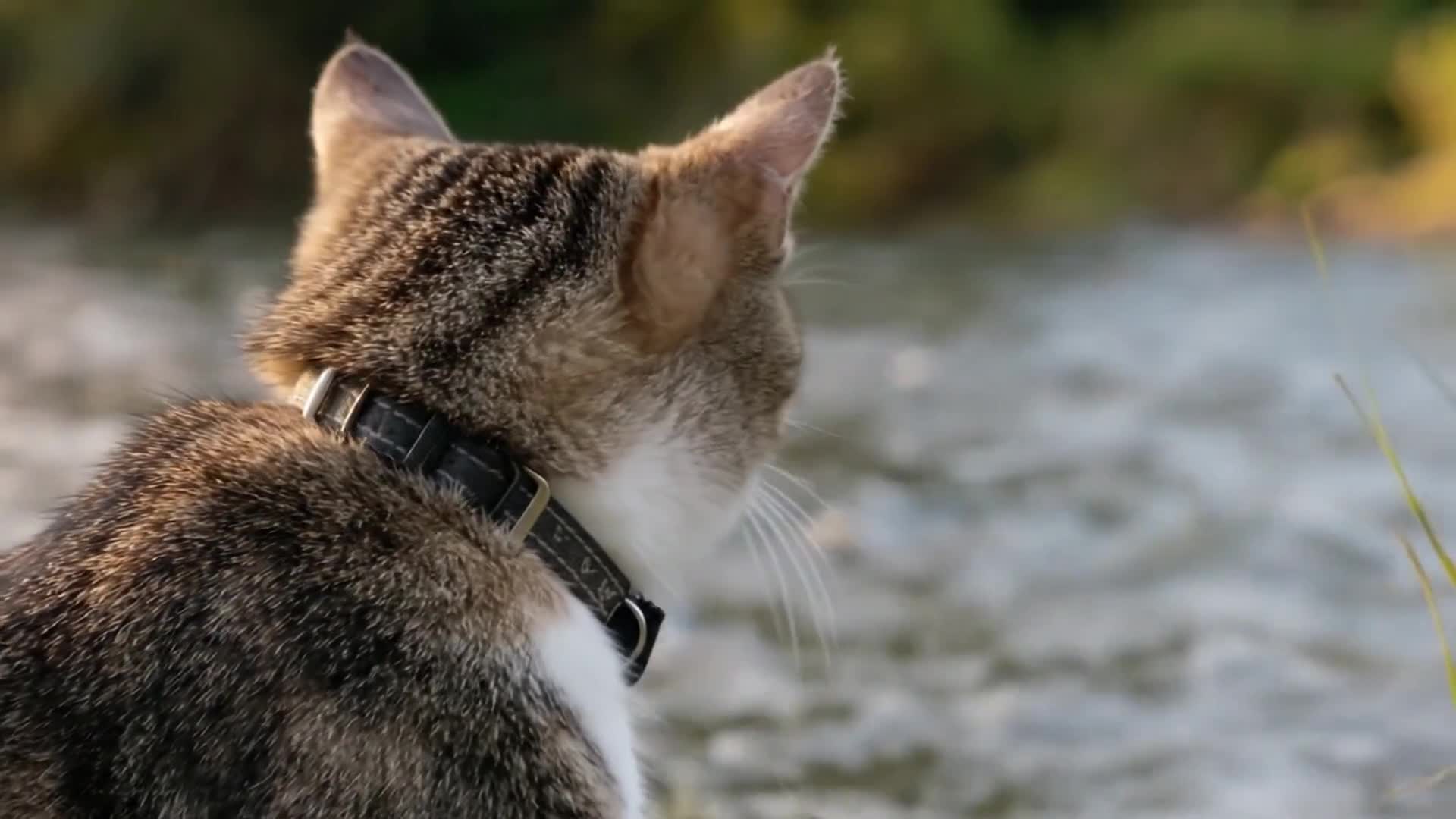 Related Video Item Thumbnail