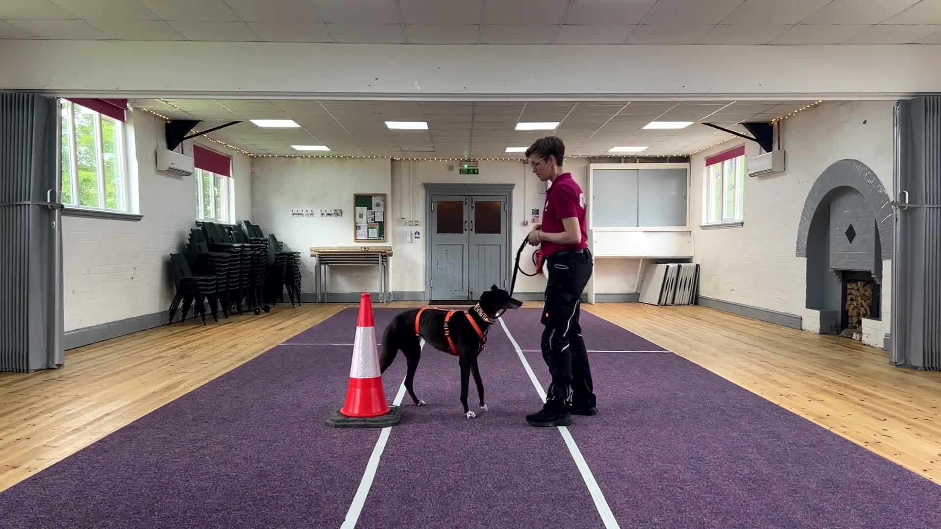 Related Video Item Thumbnail