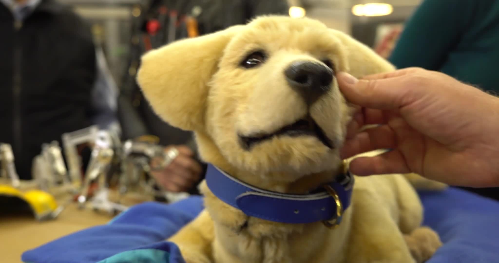 Related Video Item Thumbnail