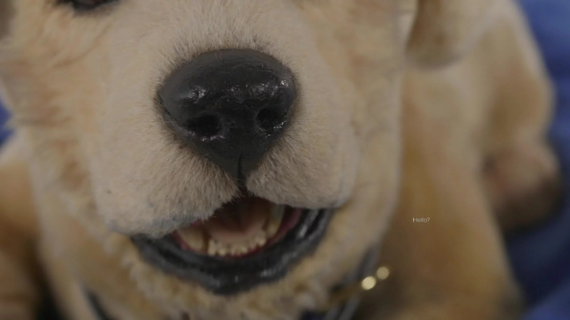 Related Video Item Thumbnail