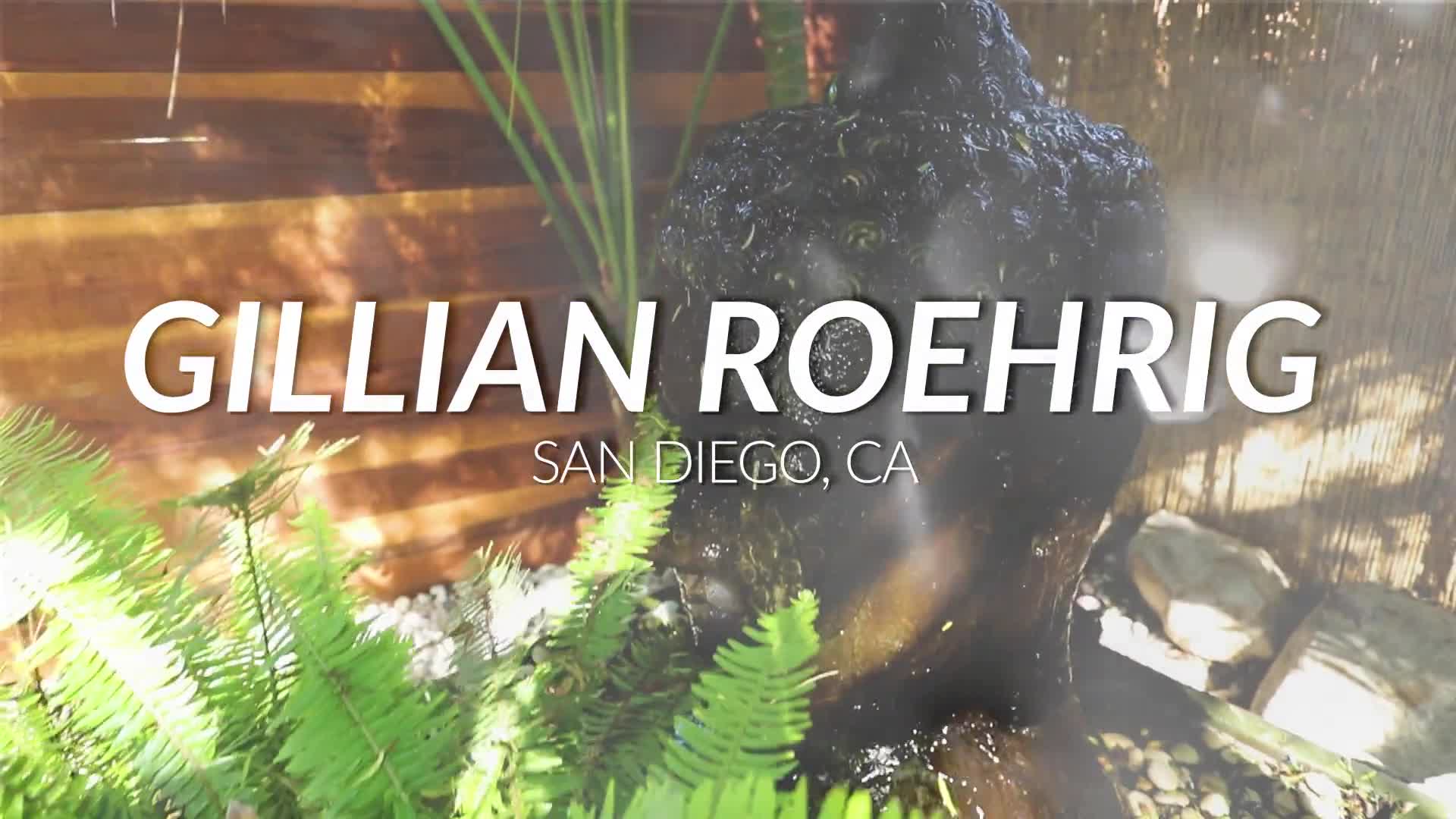 Related Video Item Thumbnail
