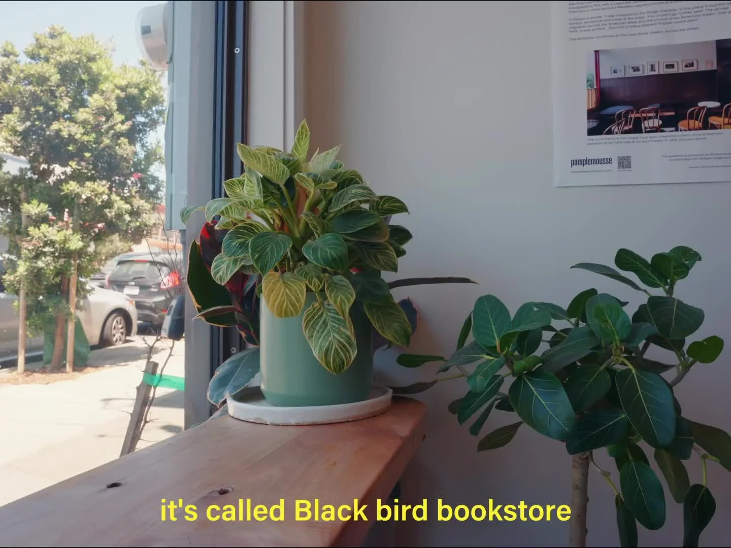 Related Video Item Thumbnail