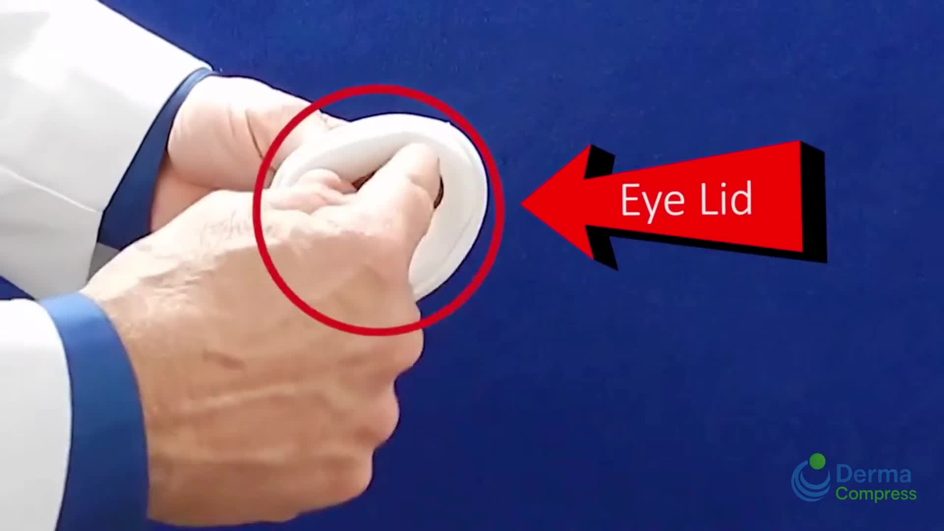 Related Video Item Thumbnail