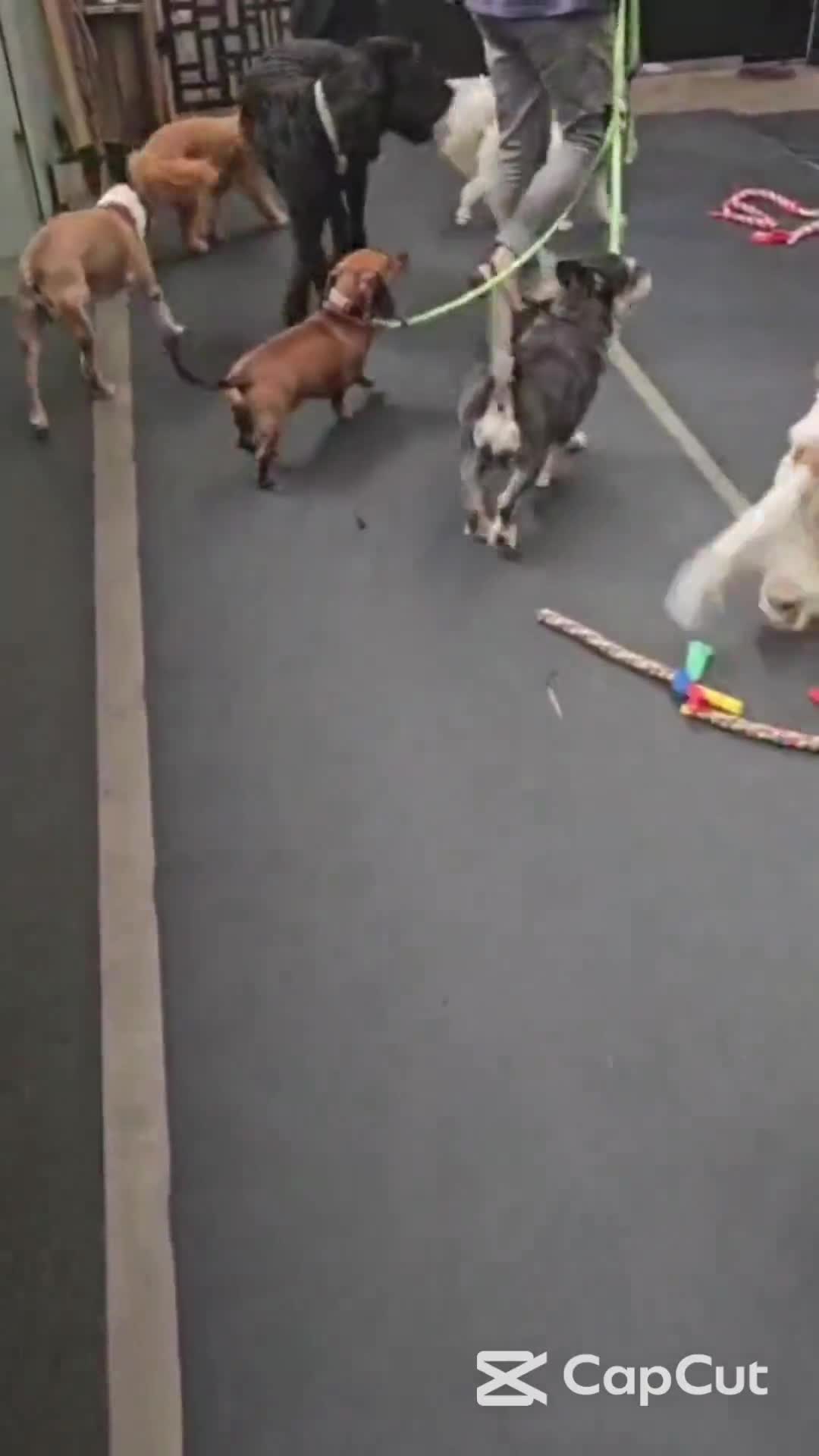 Related Video Item Thumbnail