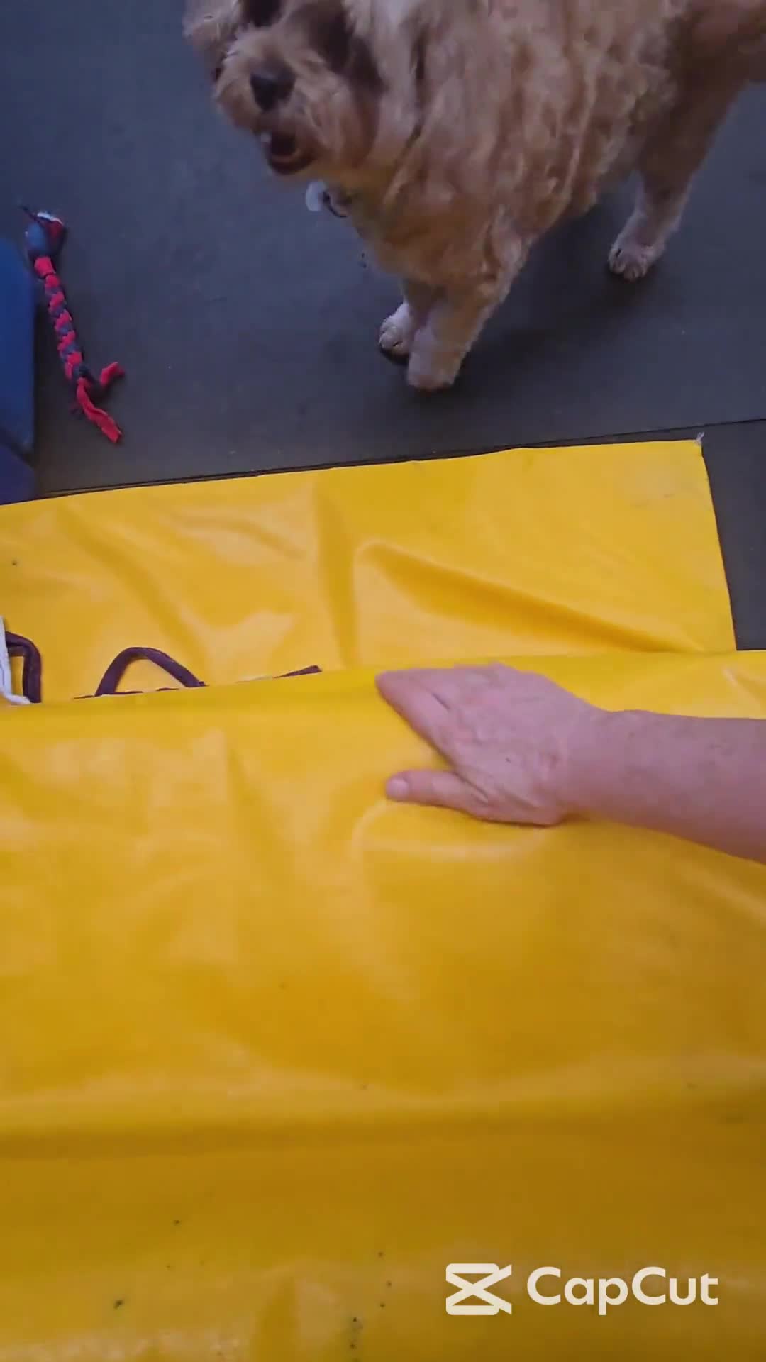 Related Video Item Thumbnail