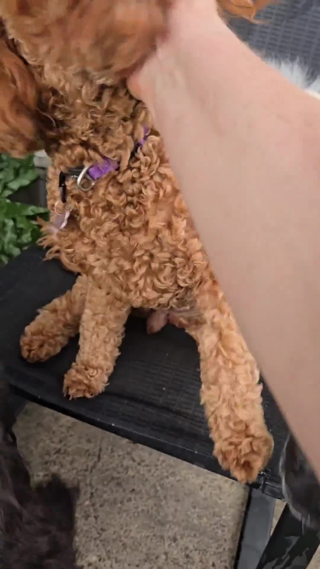 Related Video Item Thumbnail