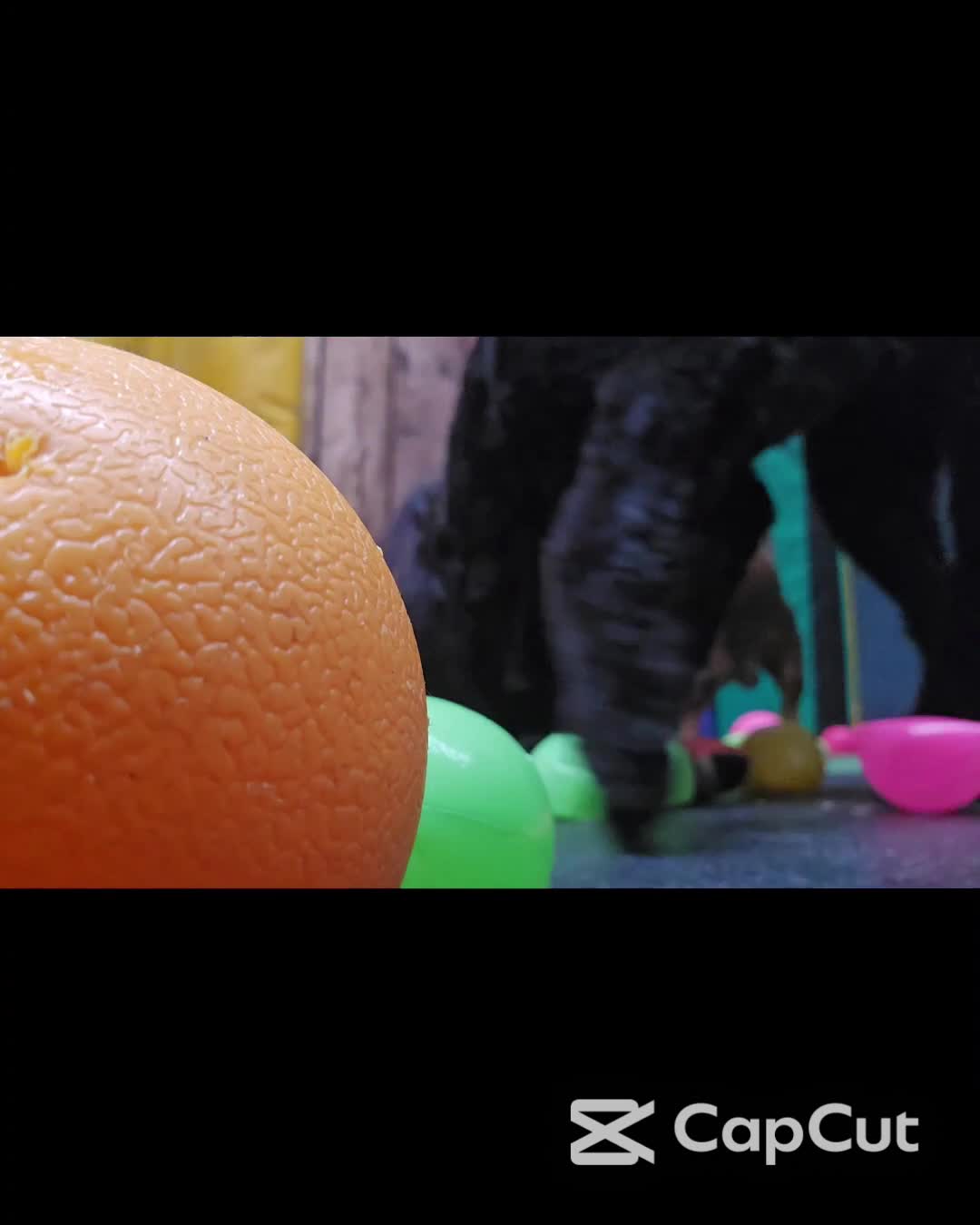 Related Video Item Thumbnail