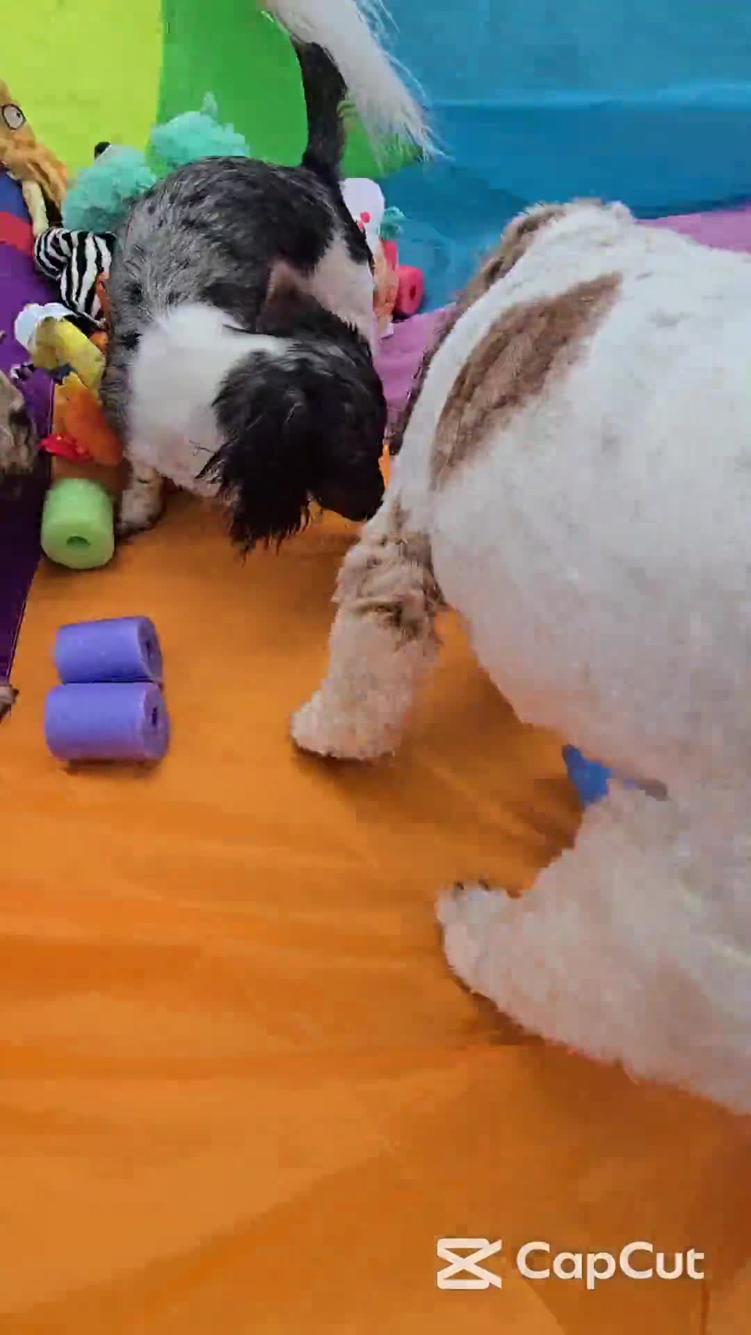 Related Video Item Thumbnail