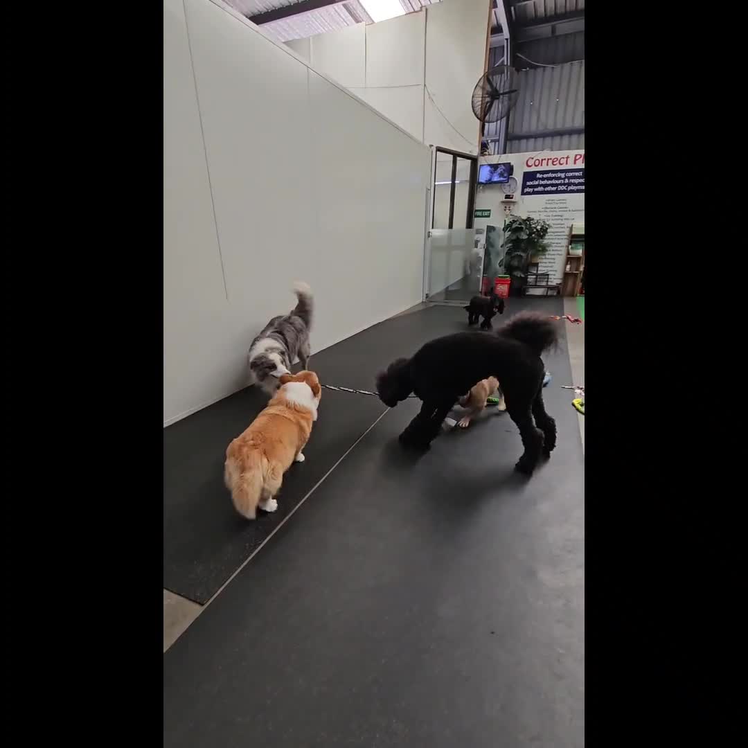 Related Video Item Thumbnail